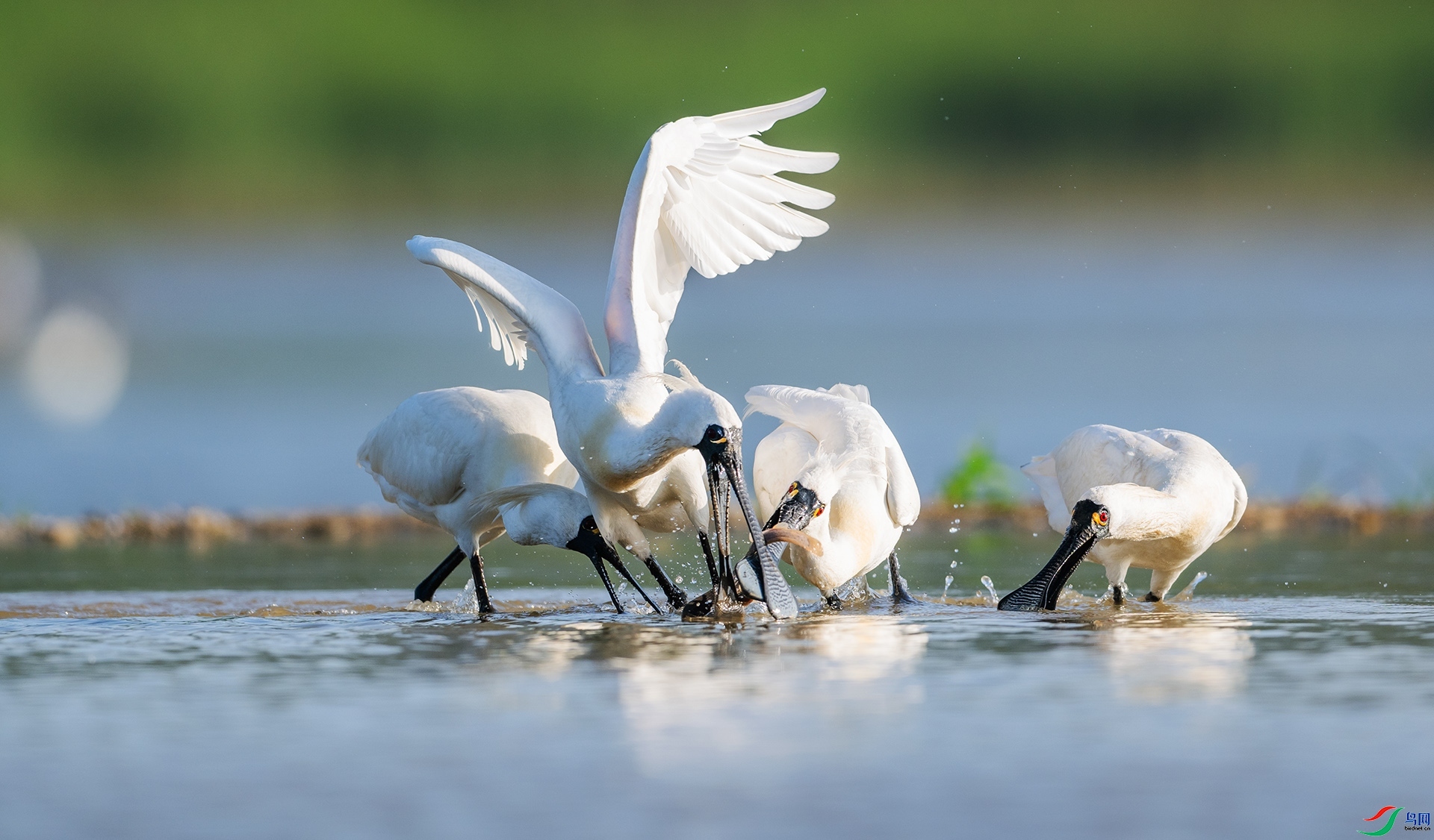 10.21 ��������ʦ��Ʒ  ���ڶ�ʳ  �ٻ�2024��10��21����Ӱʦ��ҳ����.jpg