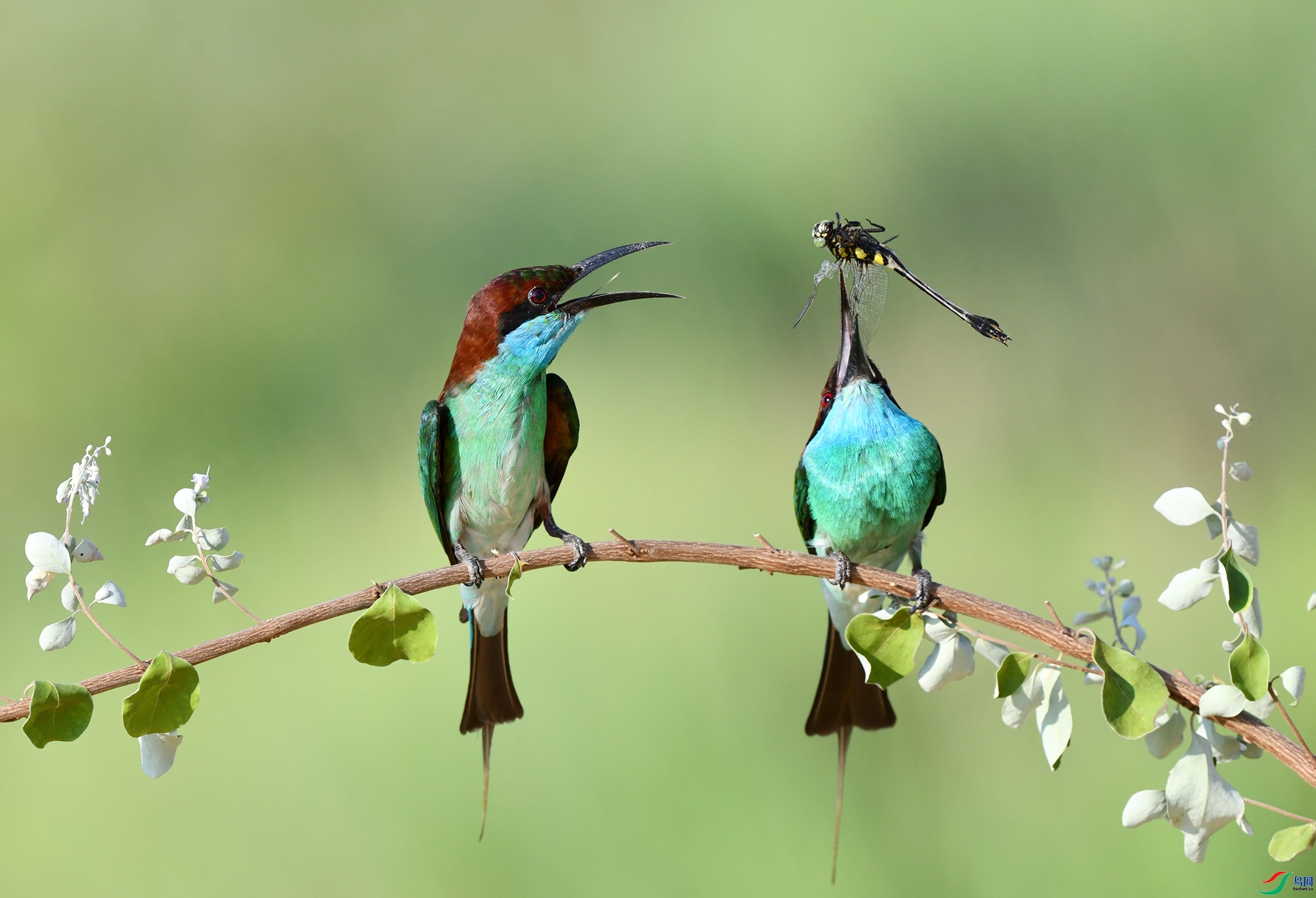 10.22 �����ʦ��Ʒ  �����仢  �ٻ�2024��10��22�ջ�Ա��ҳ����.jpg