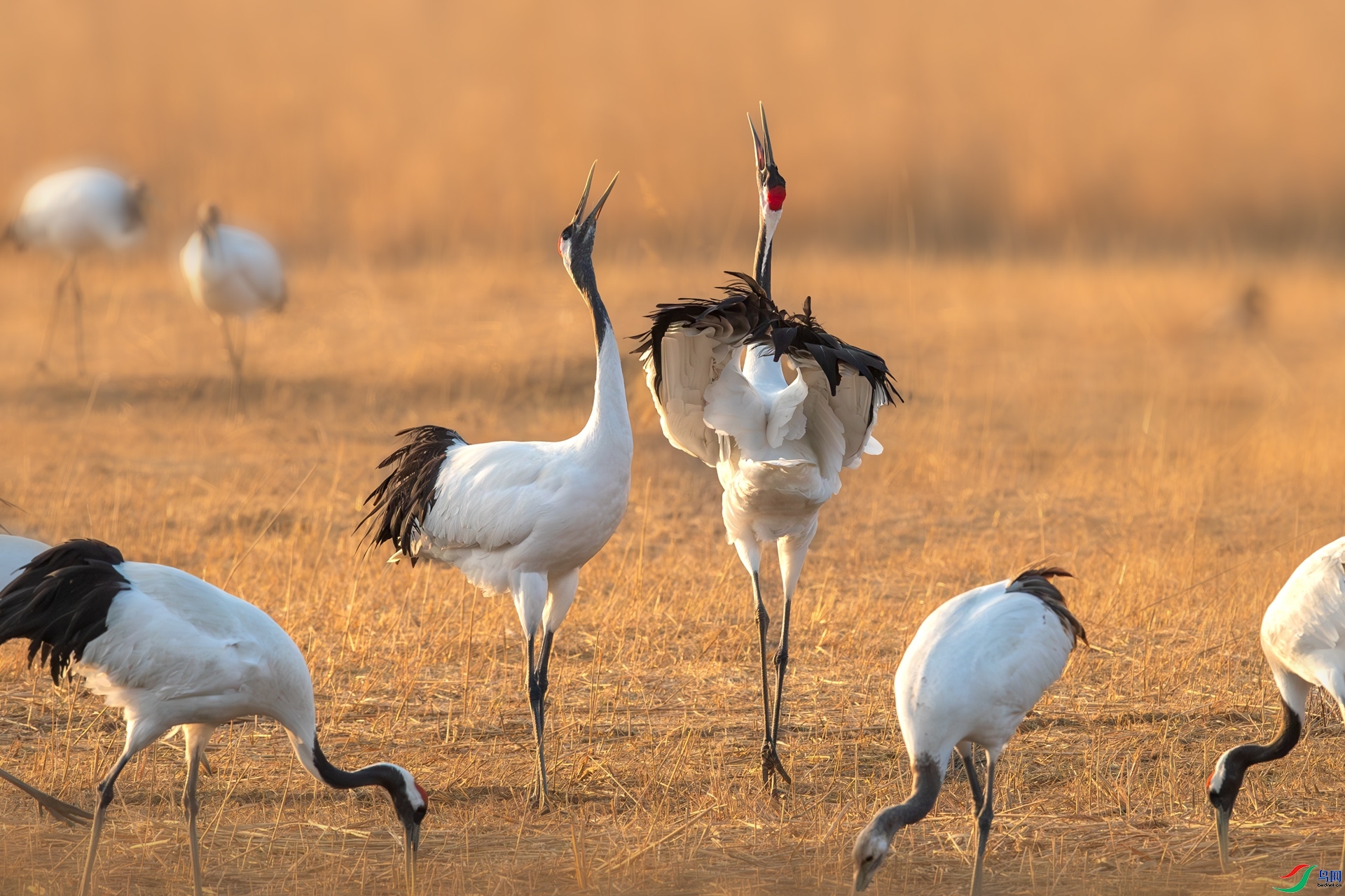 10.22 ��Ů��·����ʦ��Ʒ  �߸�����  �ٻ�2024��10��22�հ�����ҳ����.jpg