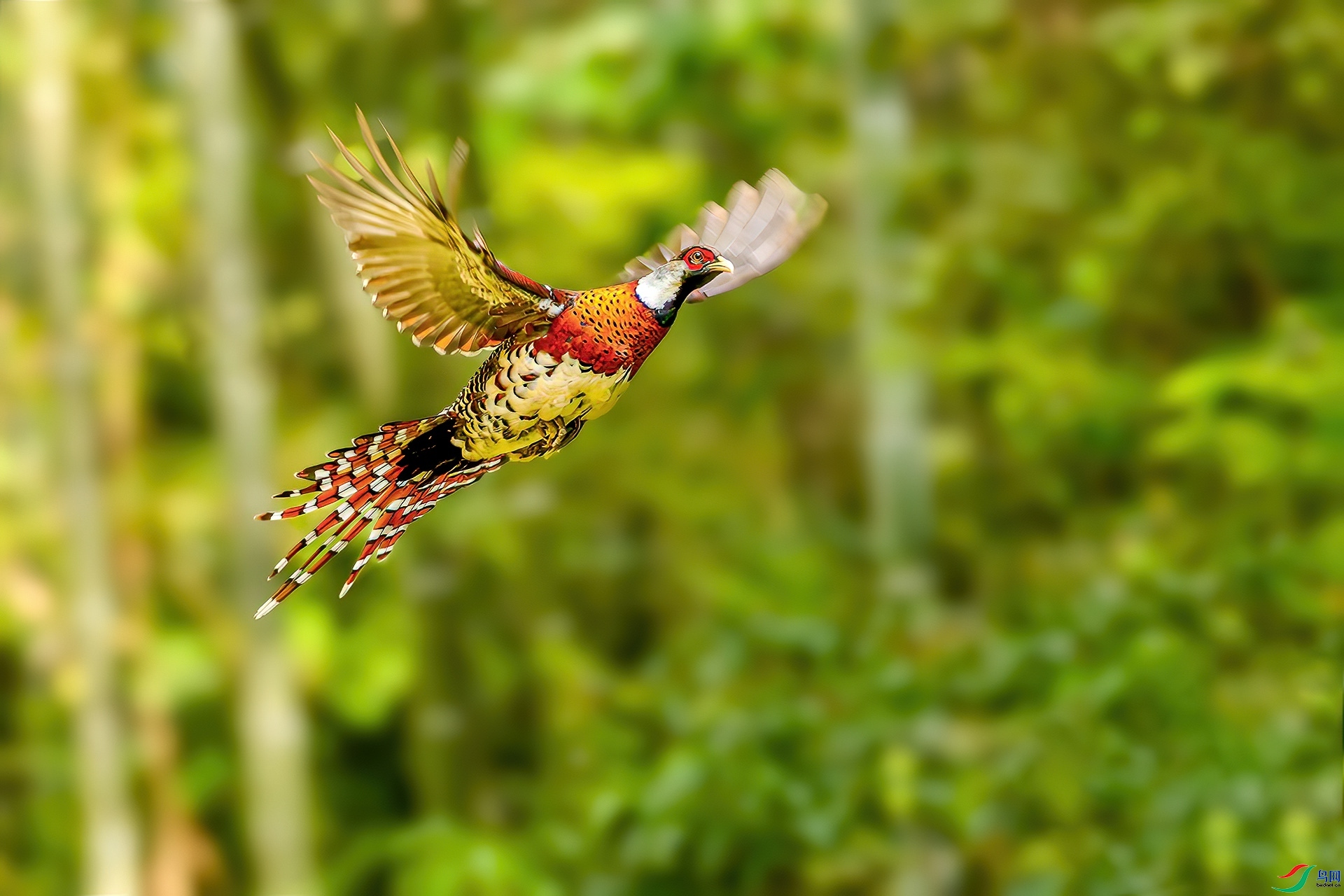 10.22 �ɵ���ʦ��Ʒ  �׾���β��  �ٻ�2024��10��22����Ӱʦ��ҳ����.jpg