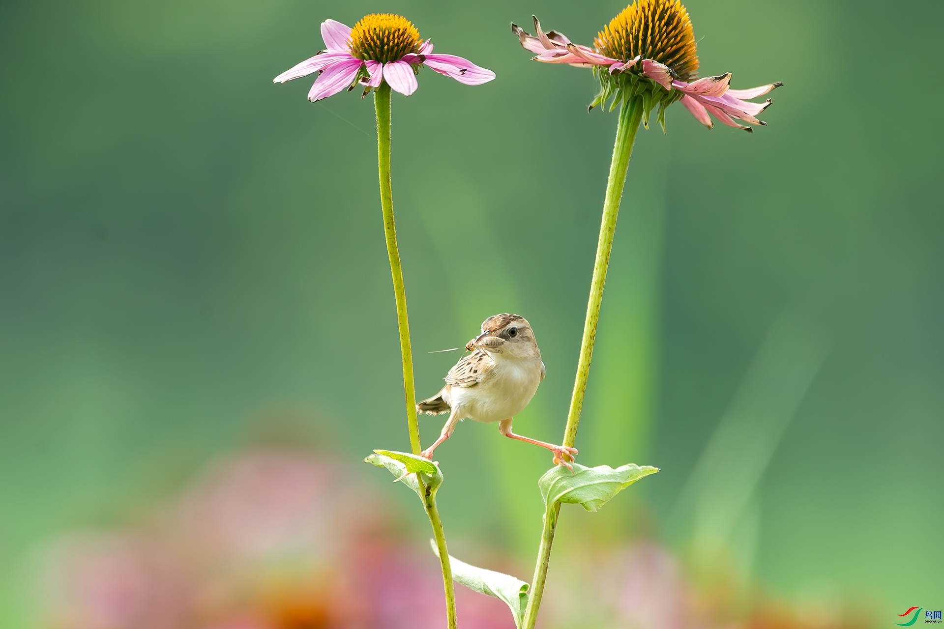 10.22 ����¥̨��ʦ��Ʒ  ������  �ٻ�2024��10��22��������ҳ����.jpg