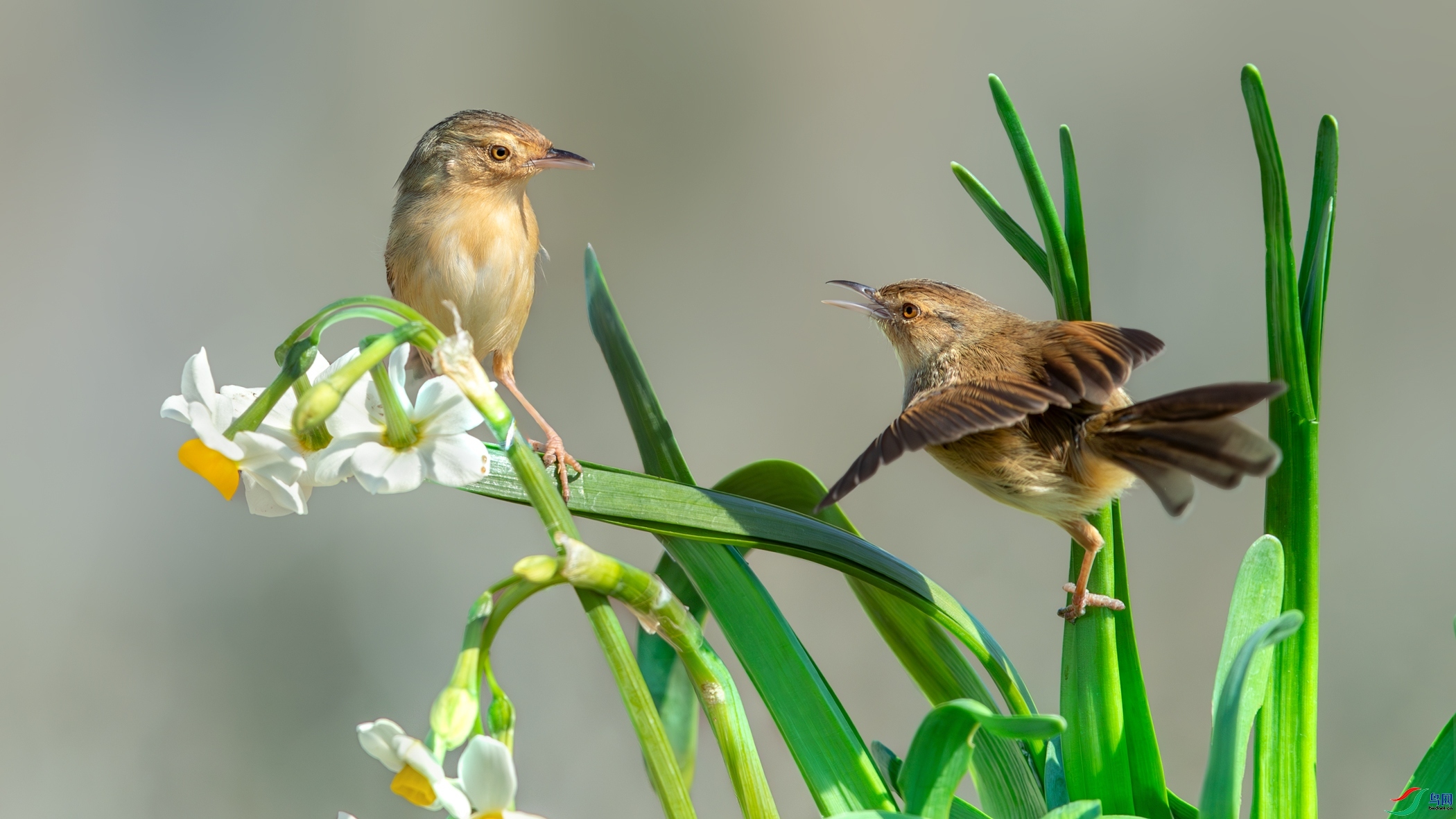 10.22 ����ī��ʦ��Ʒ  ˮ��������  �ٻ�2024��10��22��������ҳ����.jpg