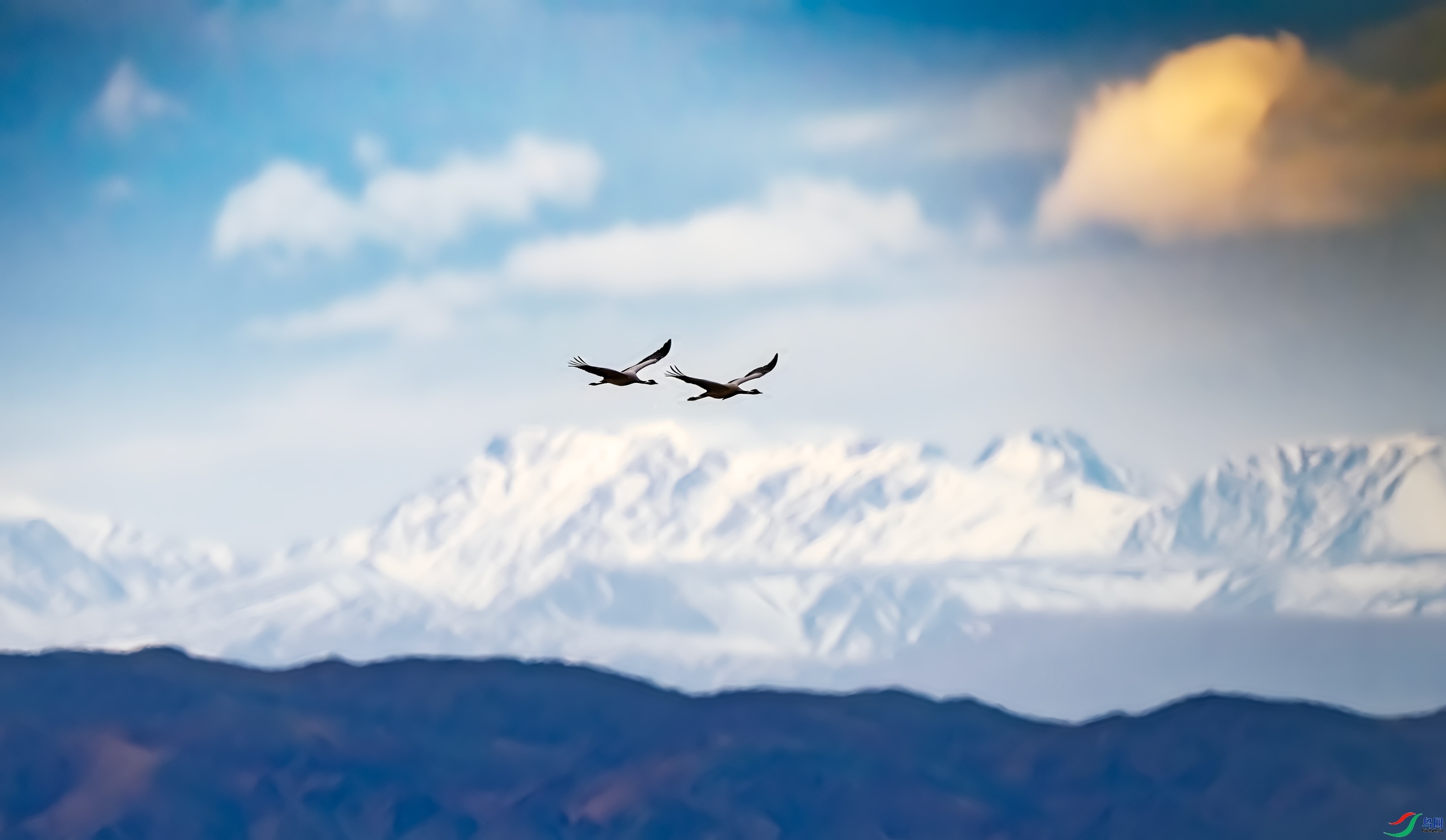 10.23 ����������ʦ��Ʒ  ���ľ˹������  �ٻ�2024��10��23�հ�����ҳ����.jpg