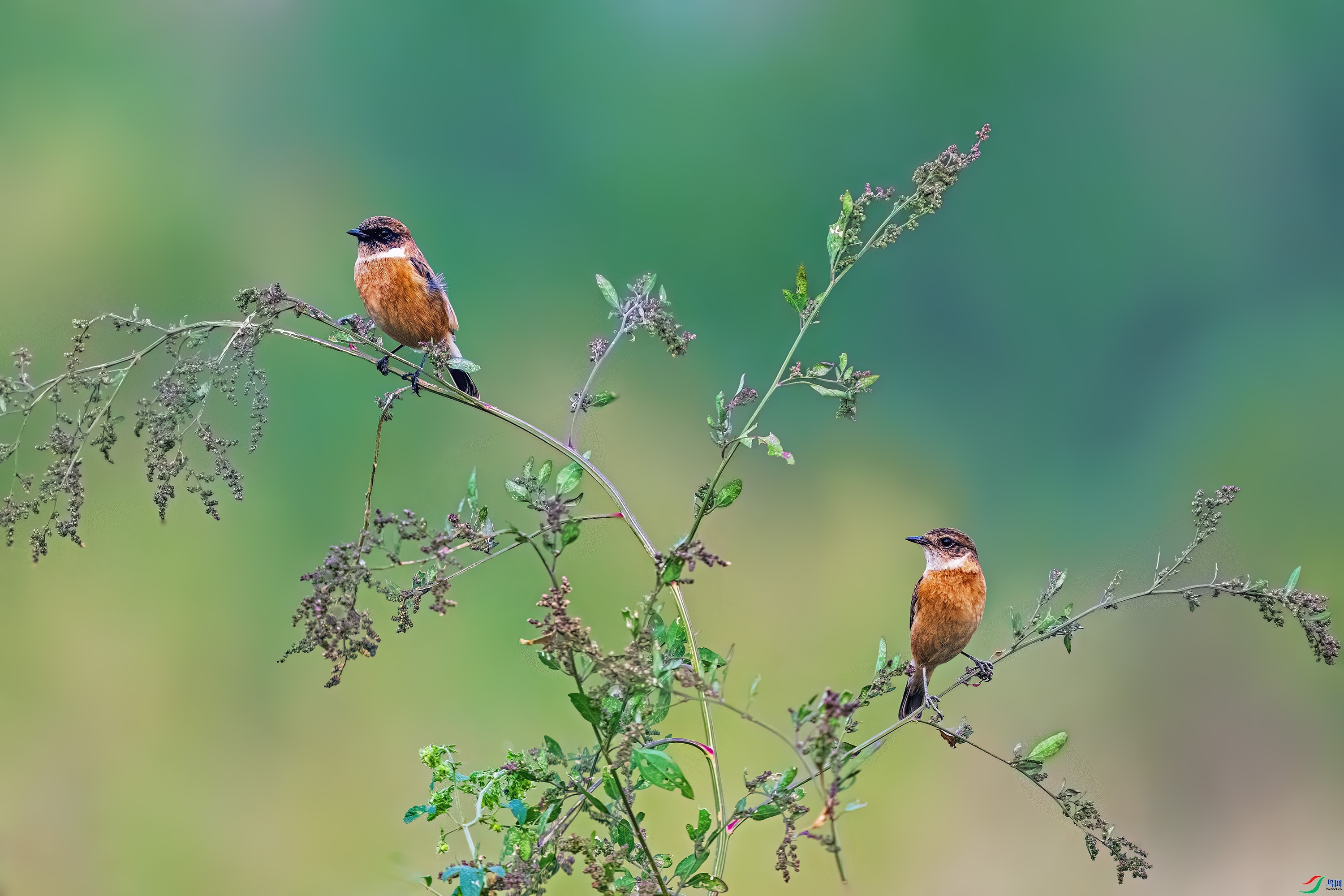 10.22 ������ʦ��Ʒ  ��Ӱ  �ٻ�2024��10��22��������ҳ����.jpg