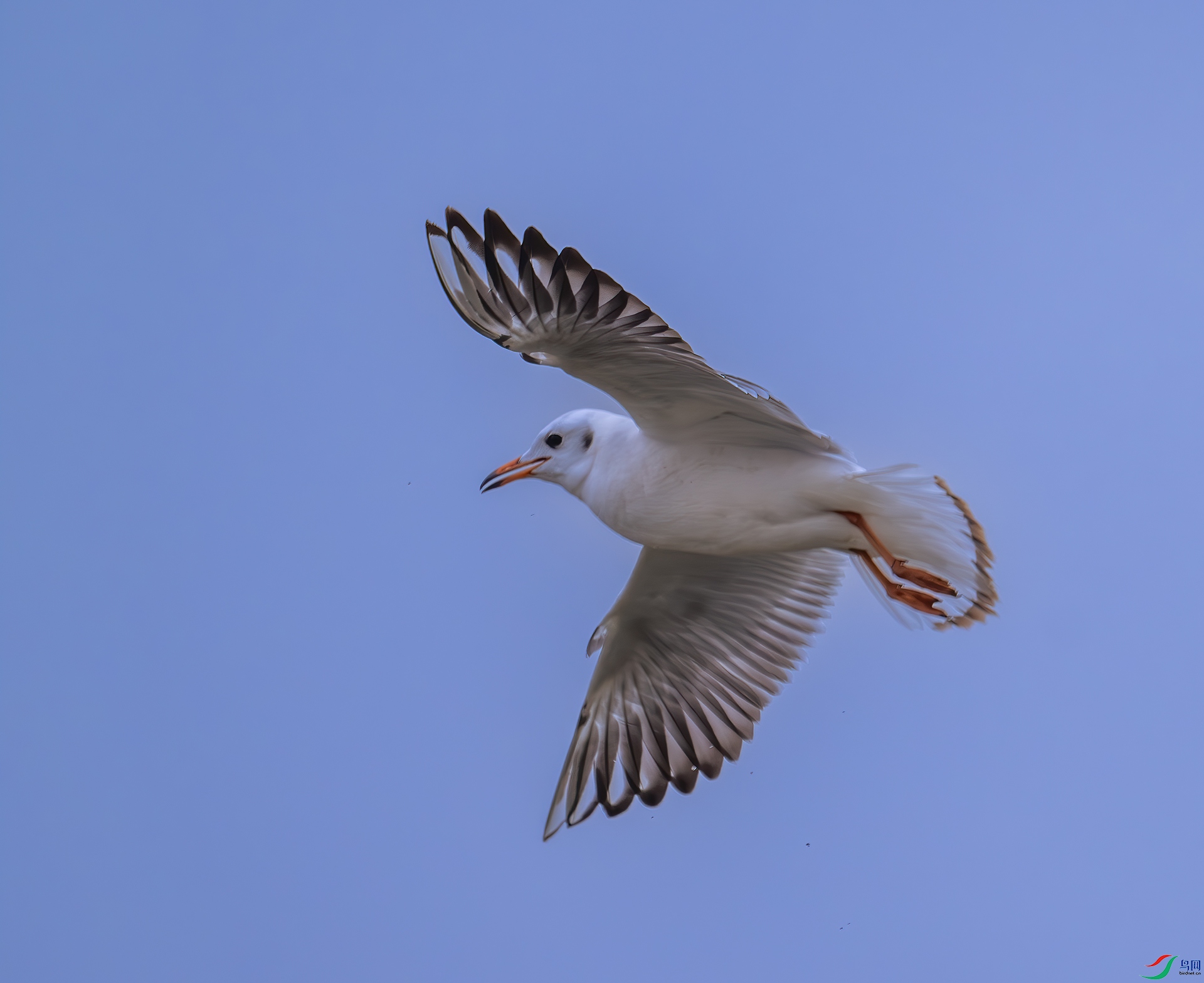 DSC_3414-1.jpg