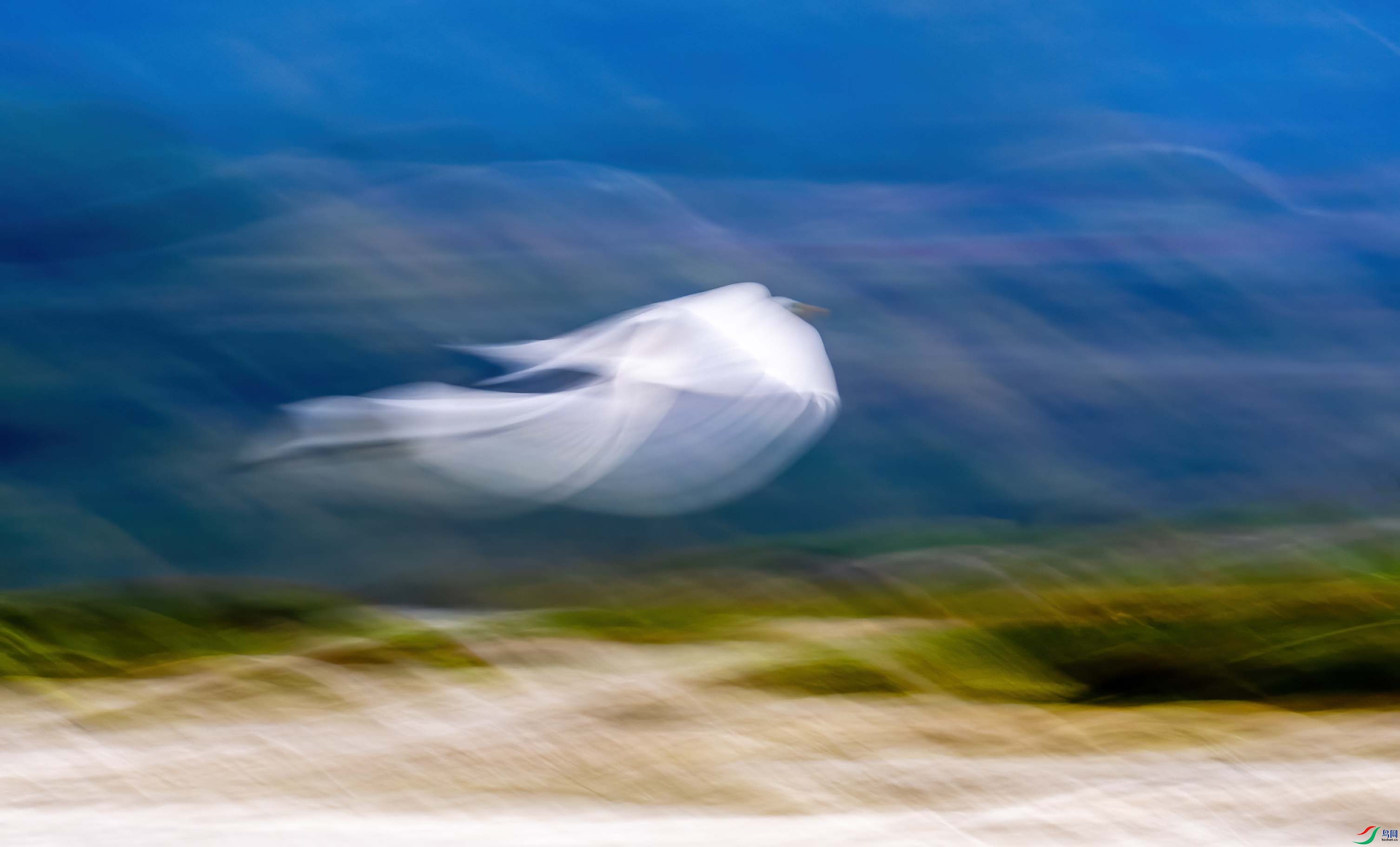 DSC_2265 ����.jpg