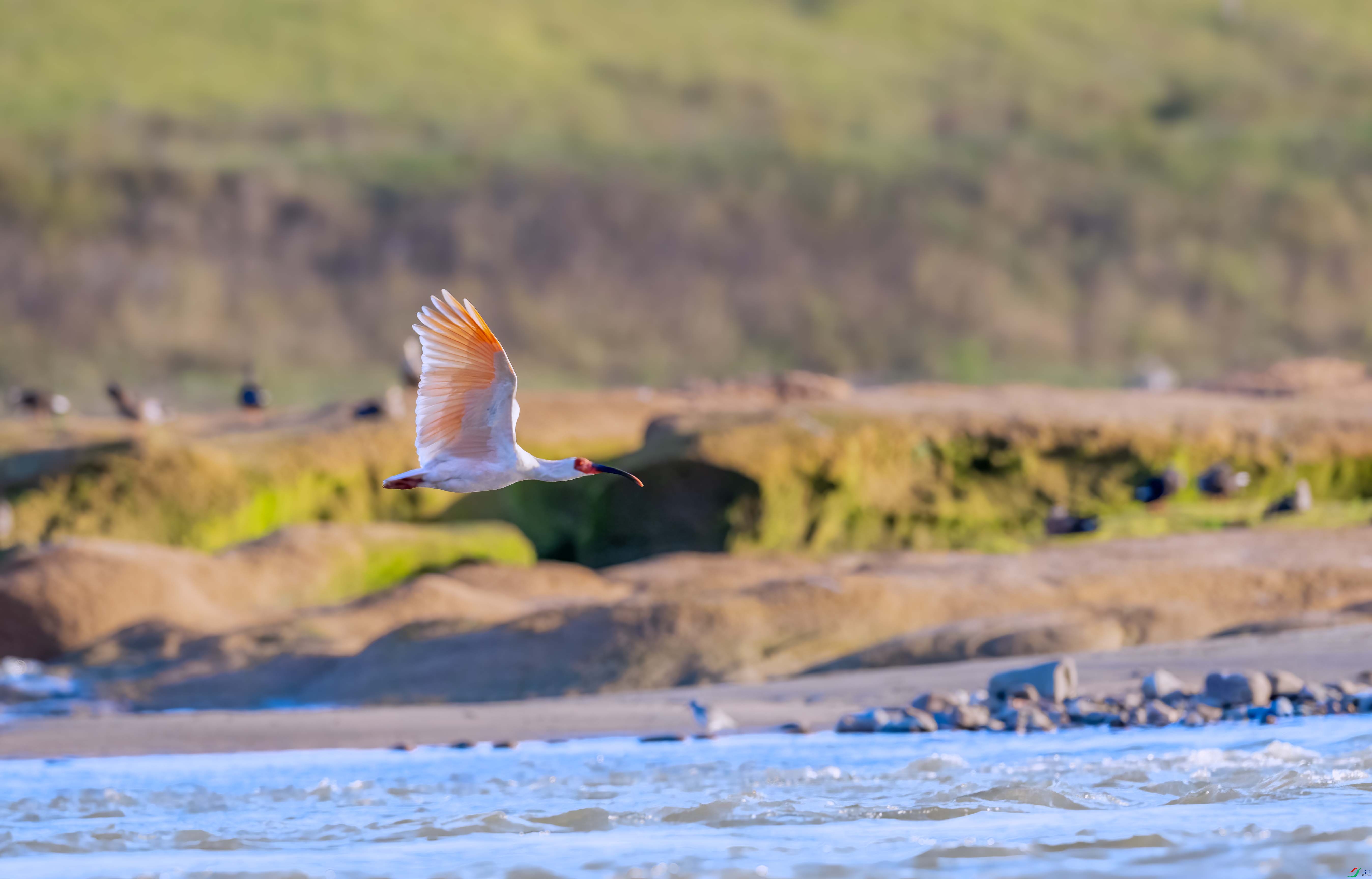 DSC_2471 ����.jpg