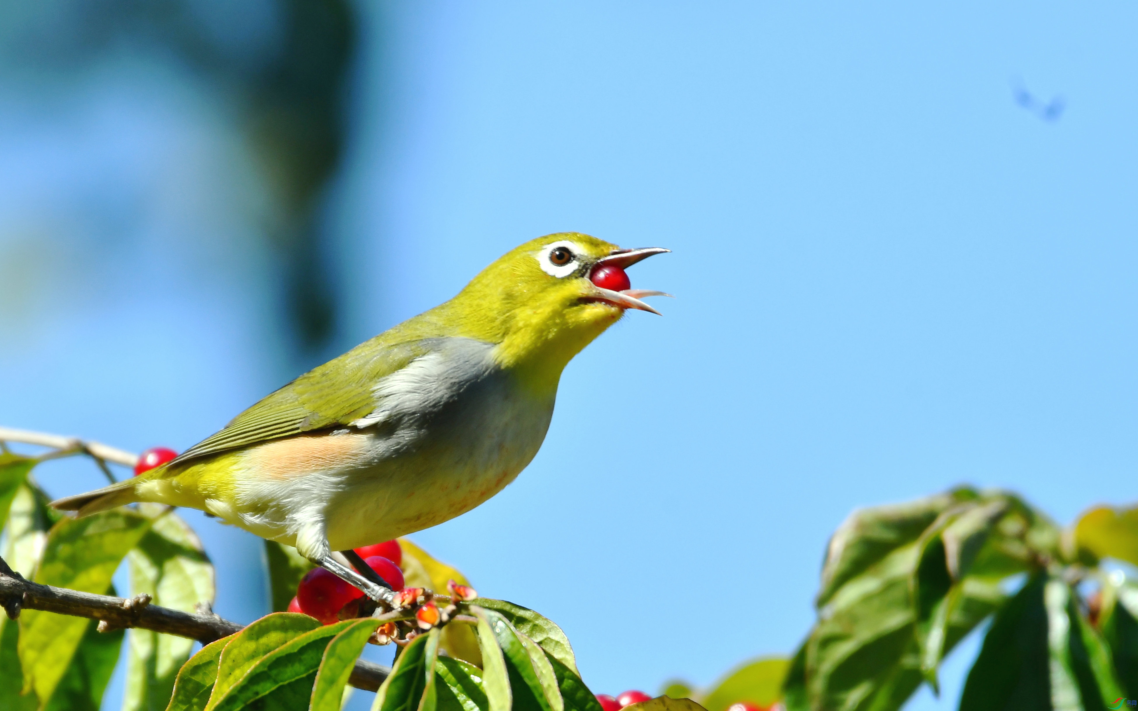 DSC_5748.JPG
