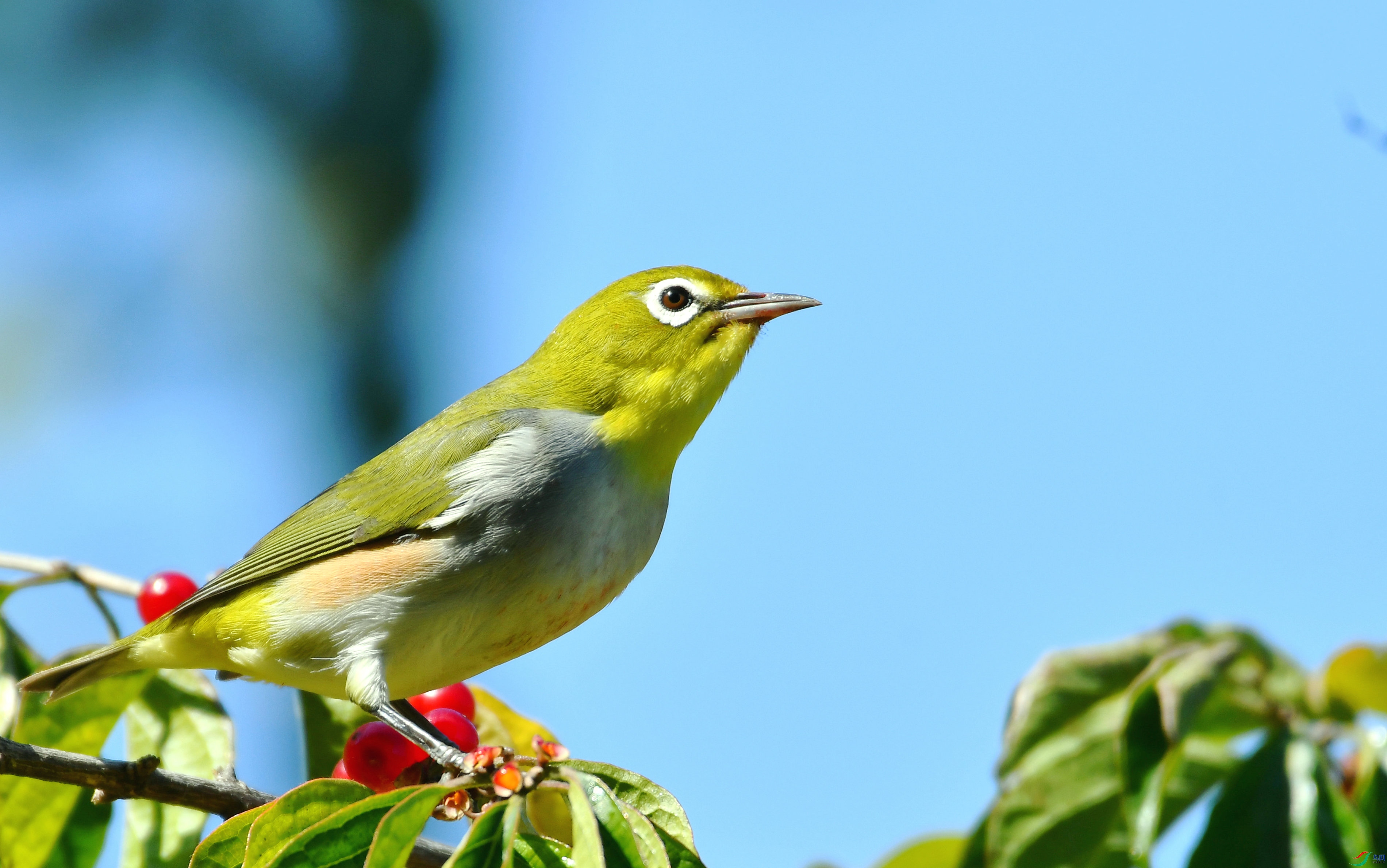 DSC_5749.JPG