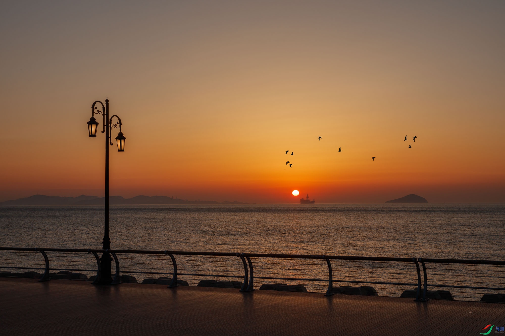 0S9A5600 ����.jpg