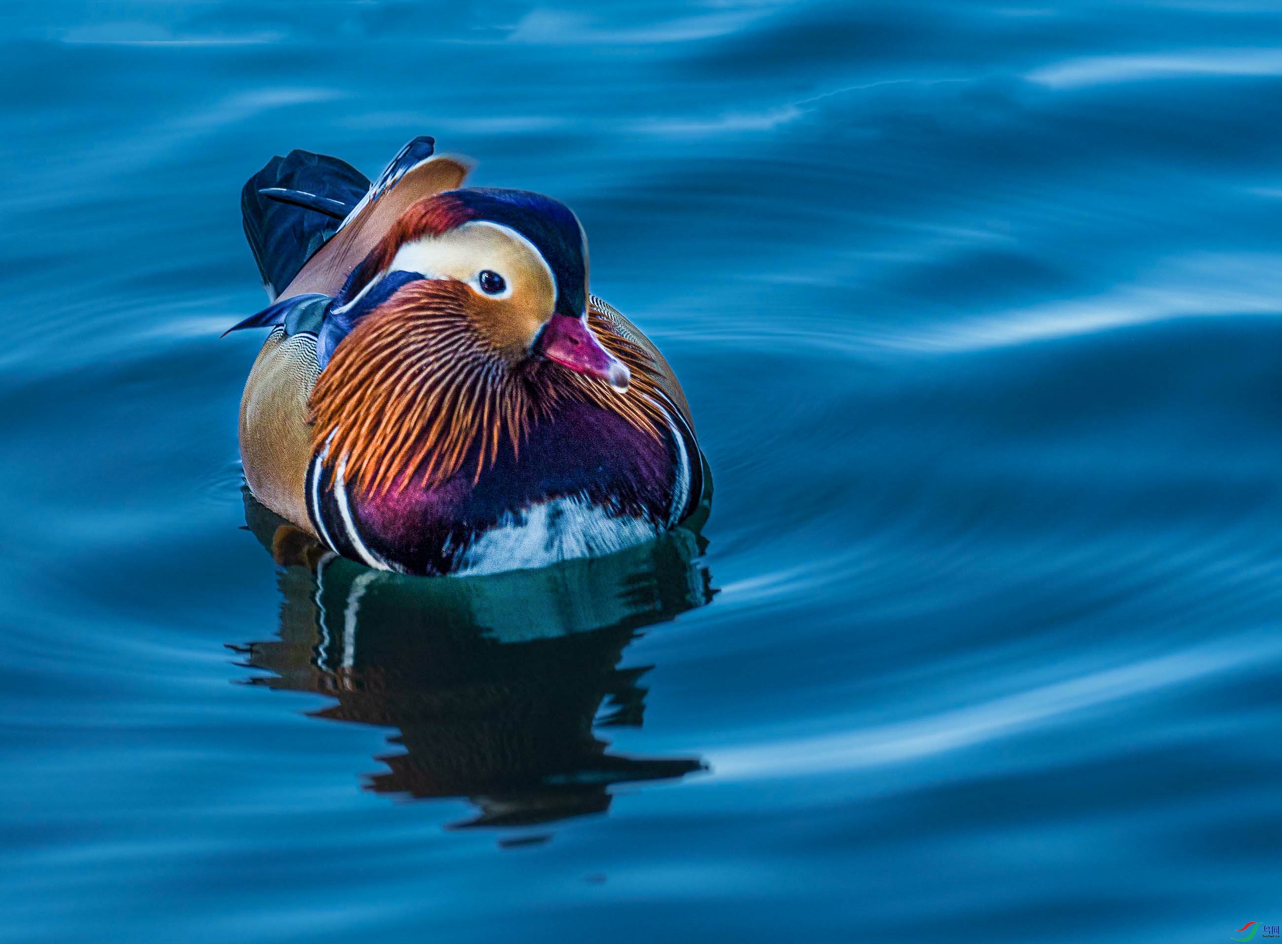 _A2202--ԧ�� ����.jpg