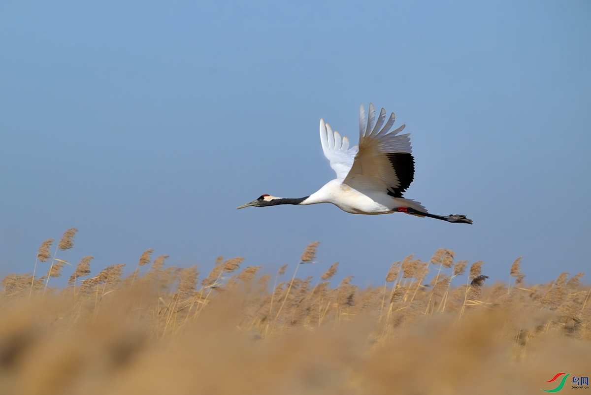 DSC_3375.jpg