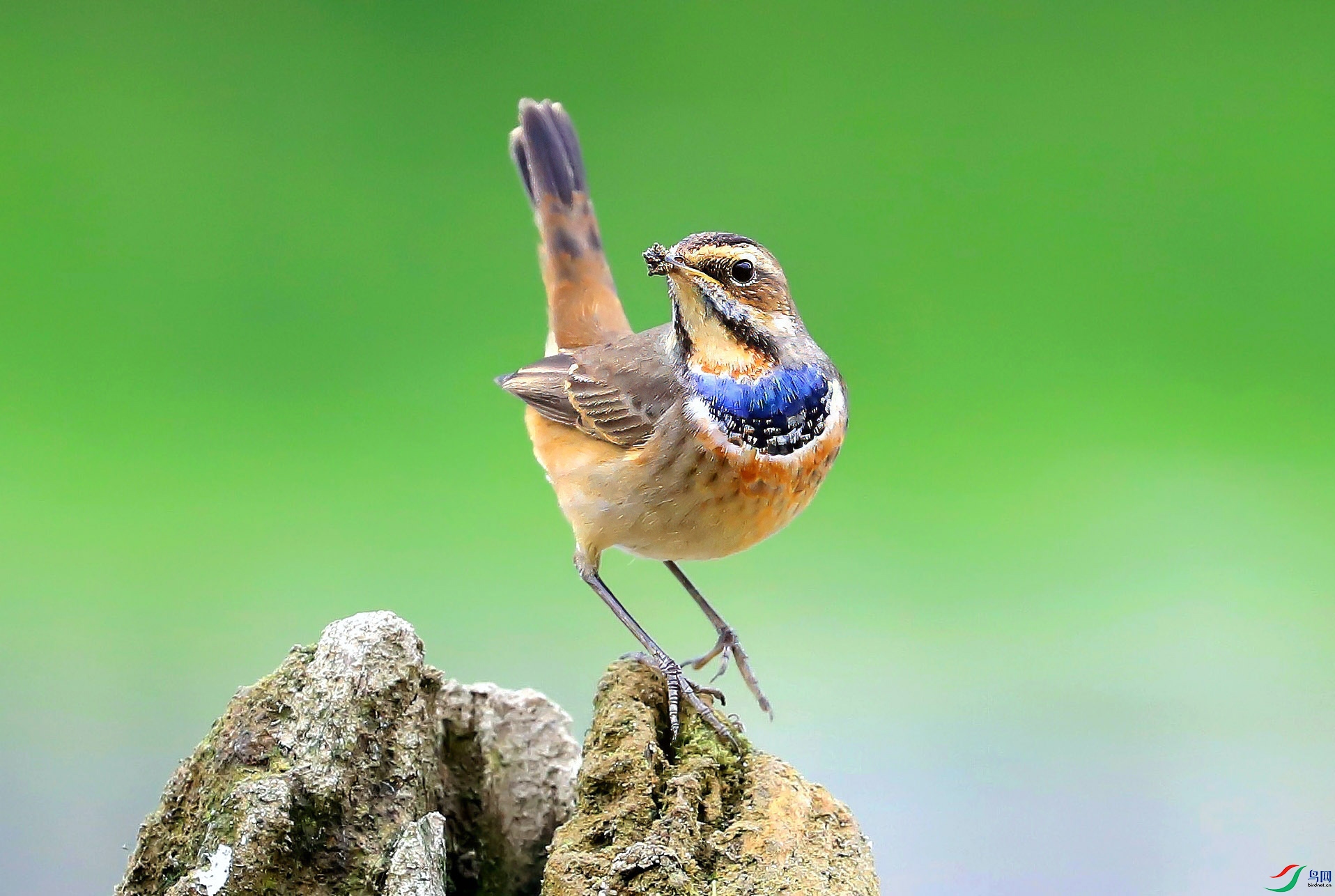 IMG_20181108_164251 ����.jpg