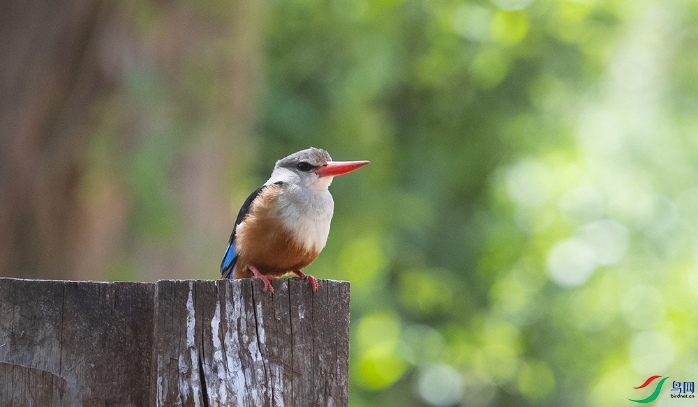 ��ͷ��� (3).jpg