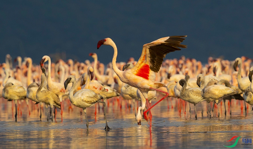 ������ (6).jpg