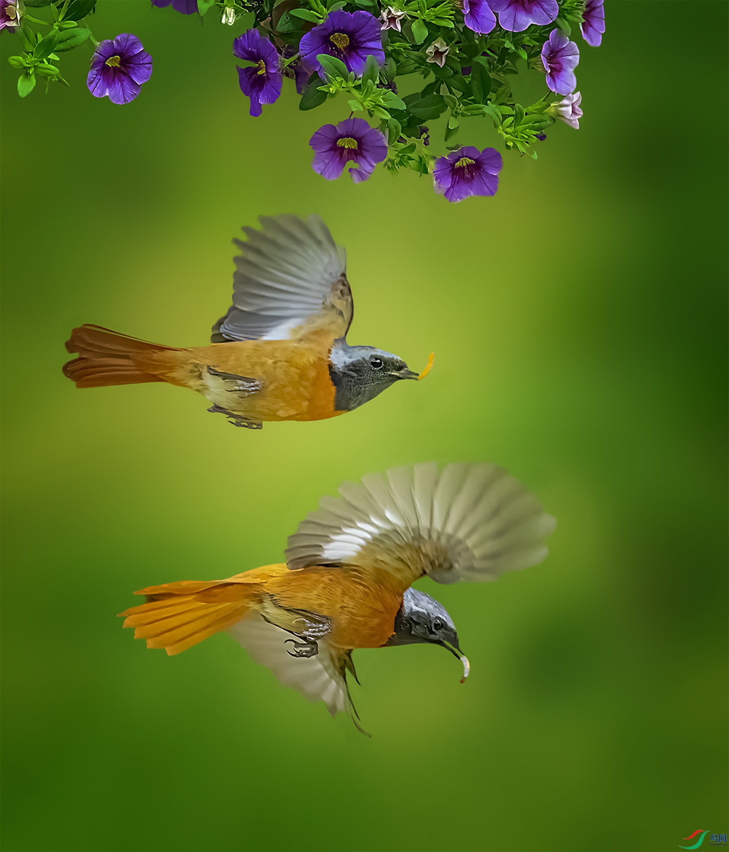 �Ѽһ�