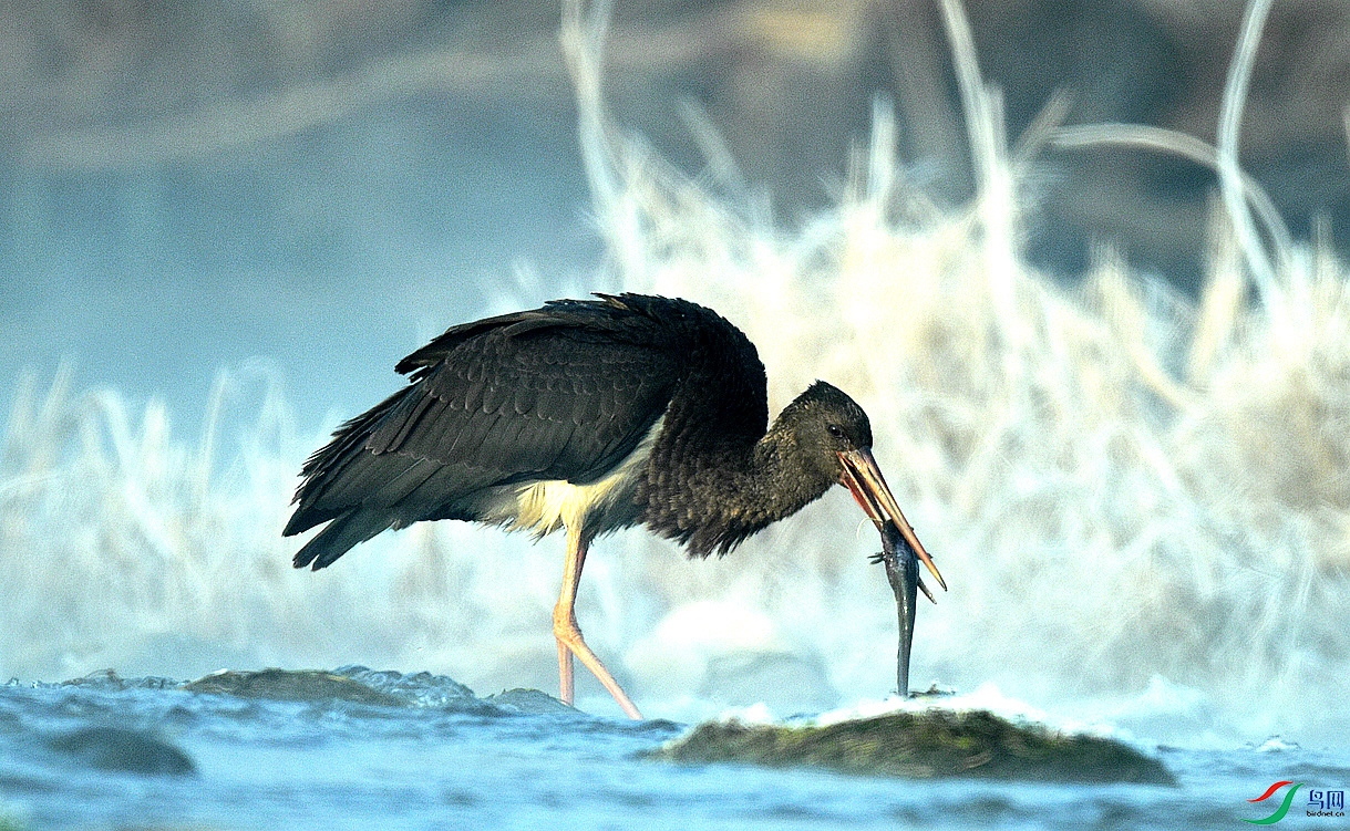 DSC_8040.jpg