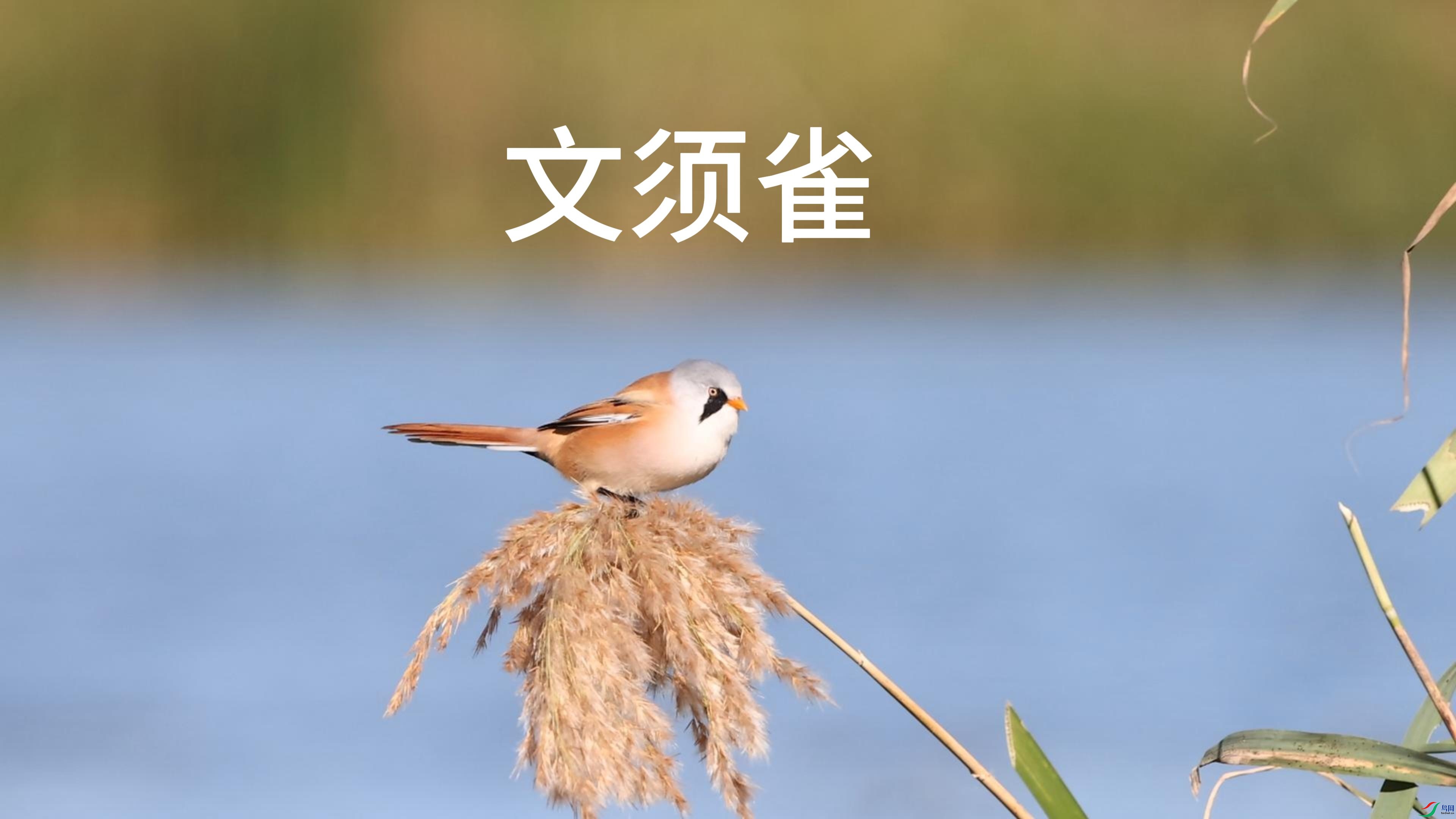 10��24�� (1)-����.jpg