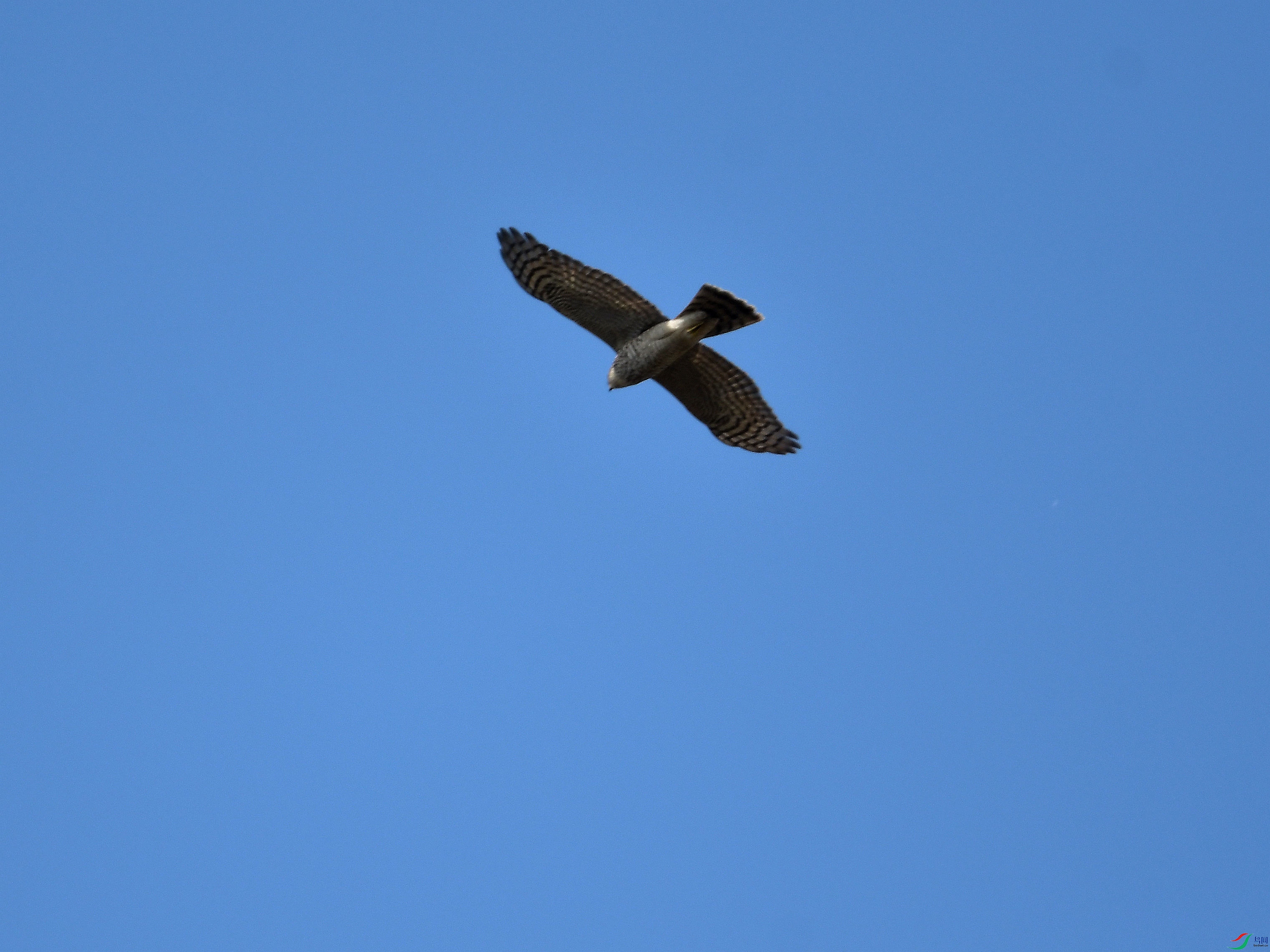 �������ݵ��Ͽյ�ȸӥ