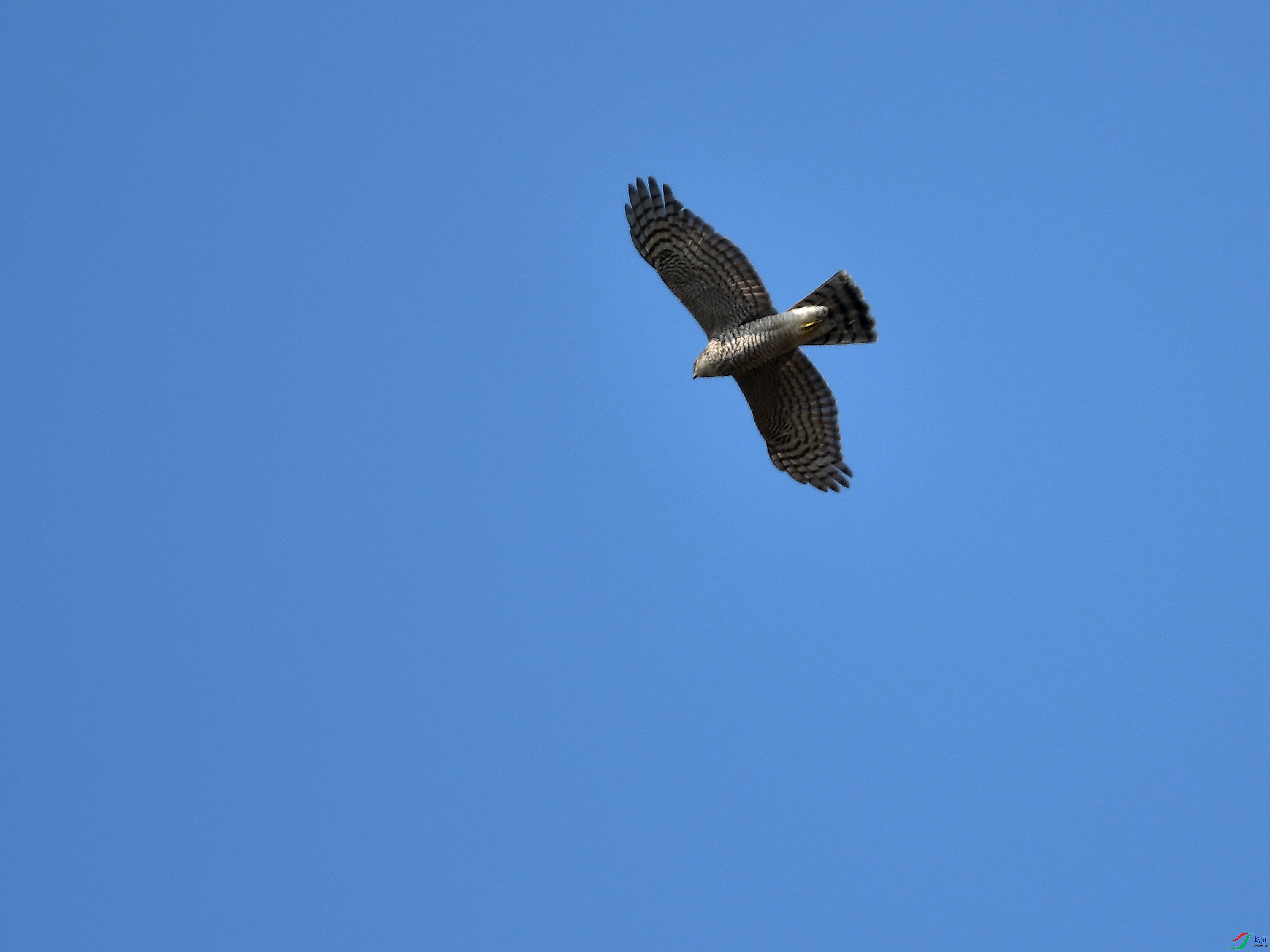 �������ݵ��Ͽյ�ȸӥ