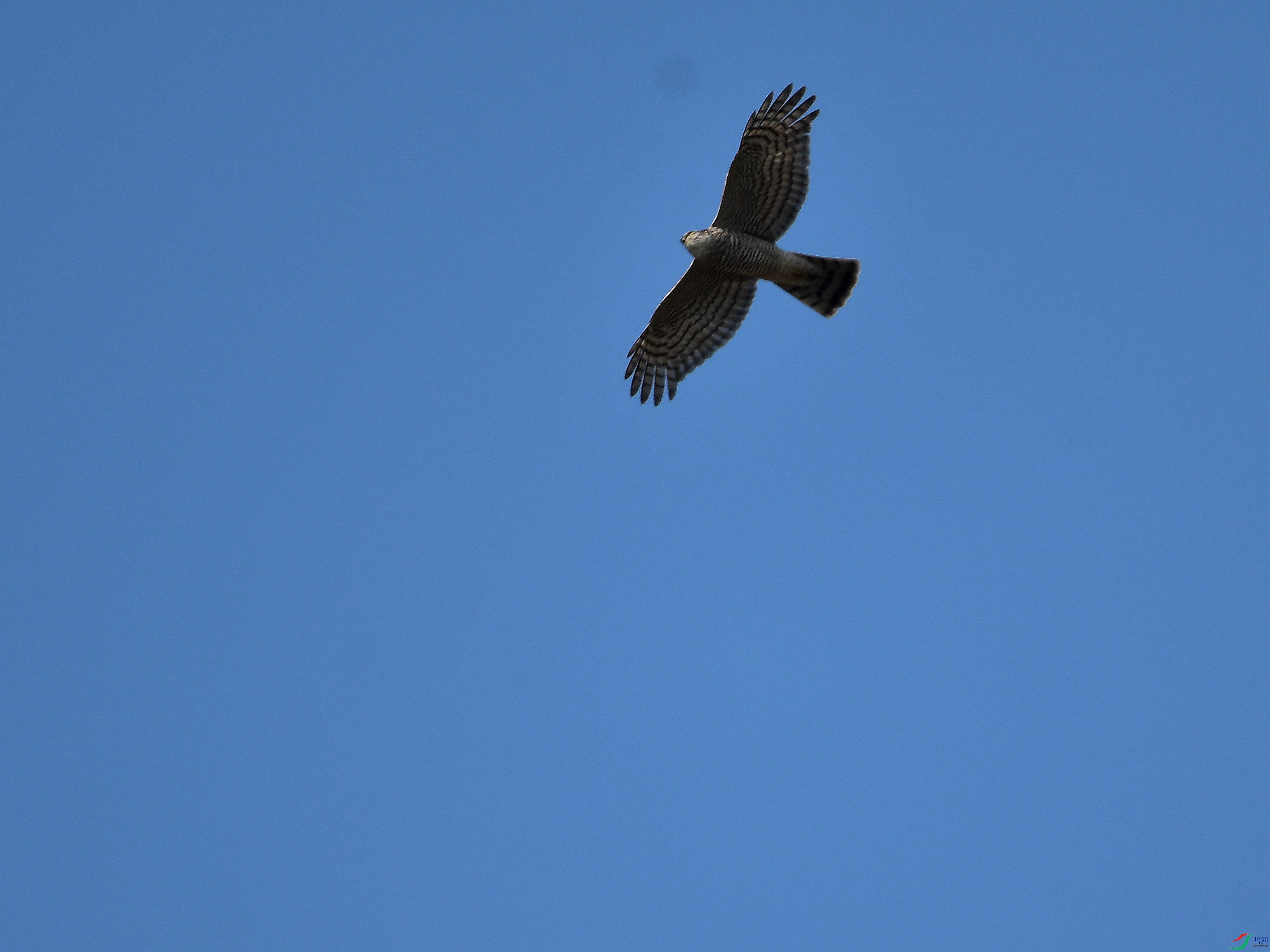 �������ݵ��Ͽյ�ȸӥ