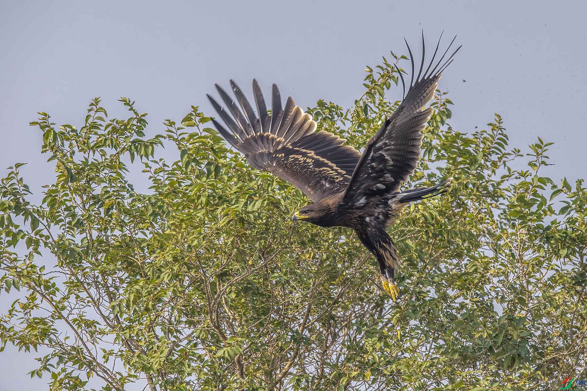 DSC_8203 ���� 2.jpg