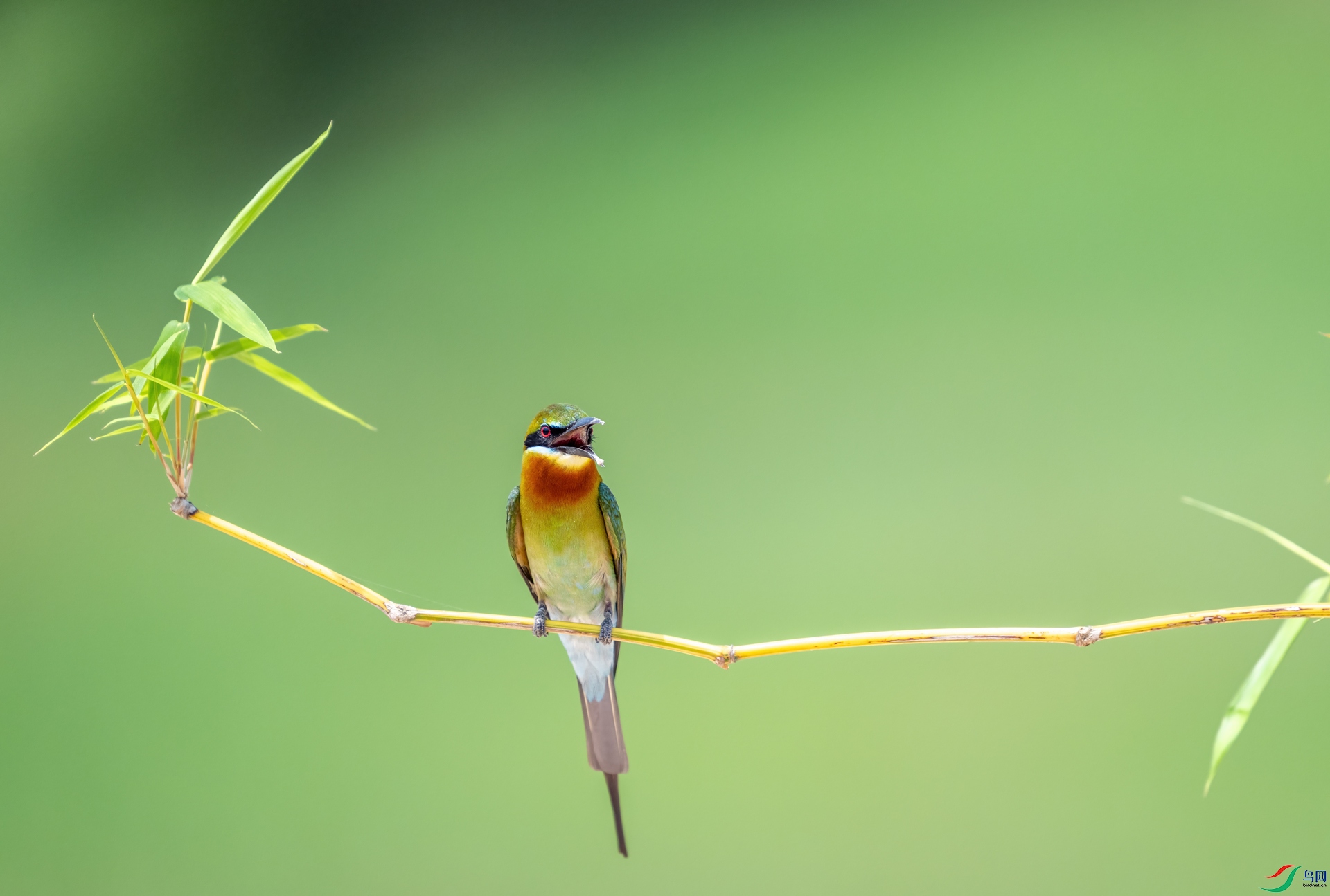 DSC_9043-1.jpg