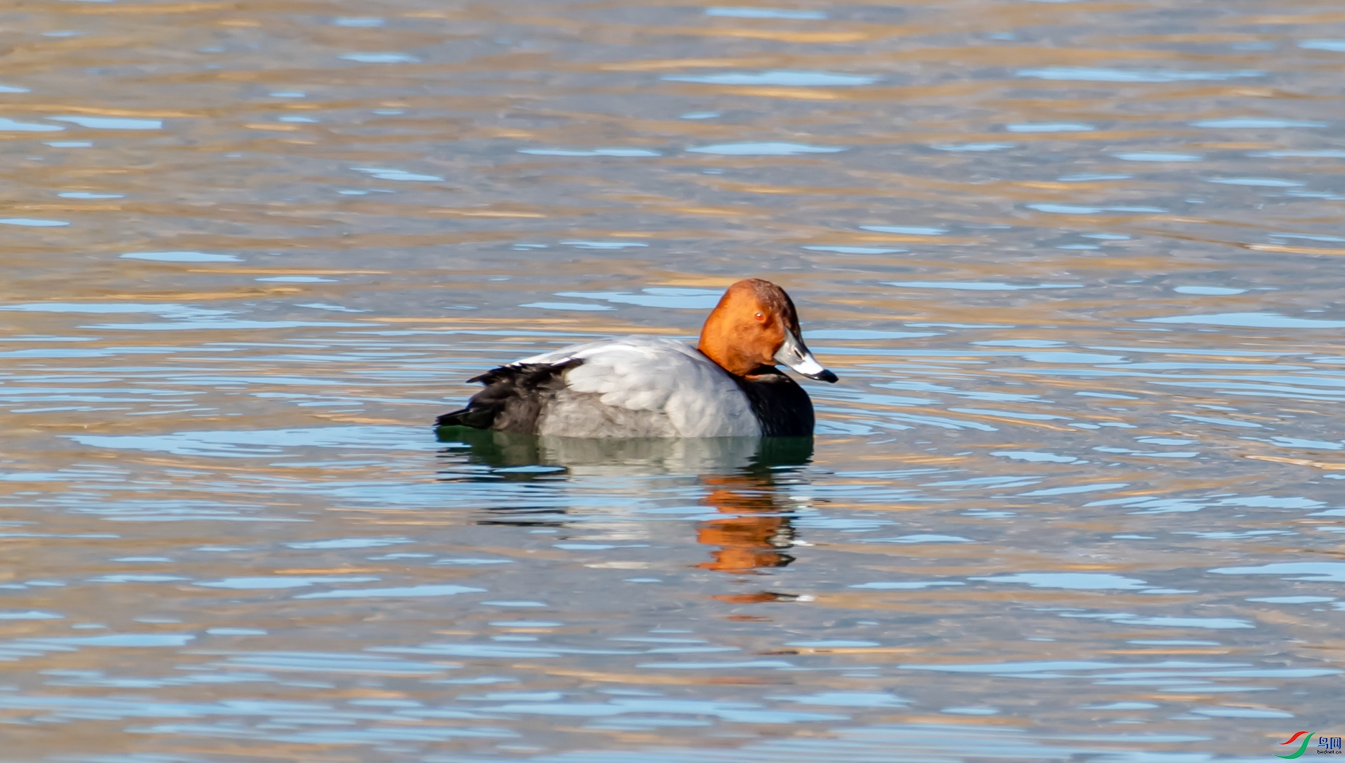 DSC_5739.jpg