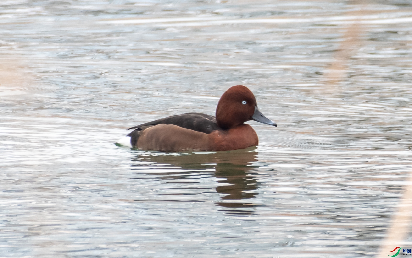 DSC_6902.jpg