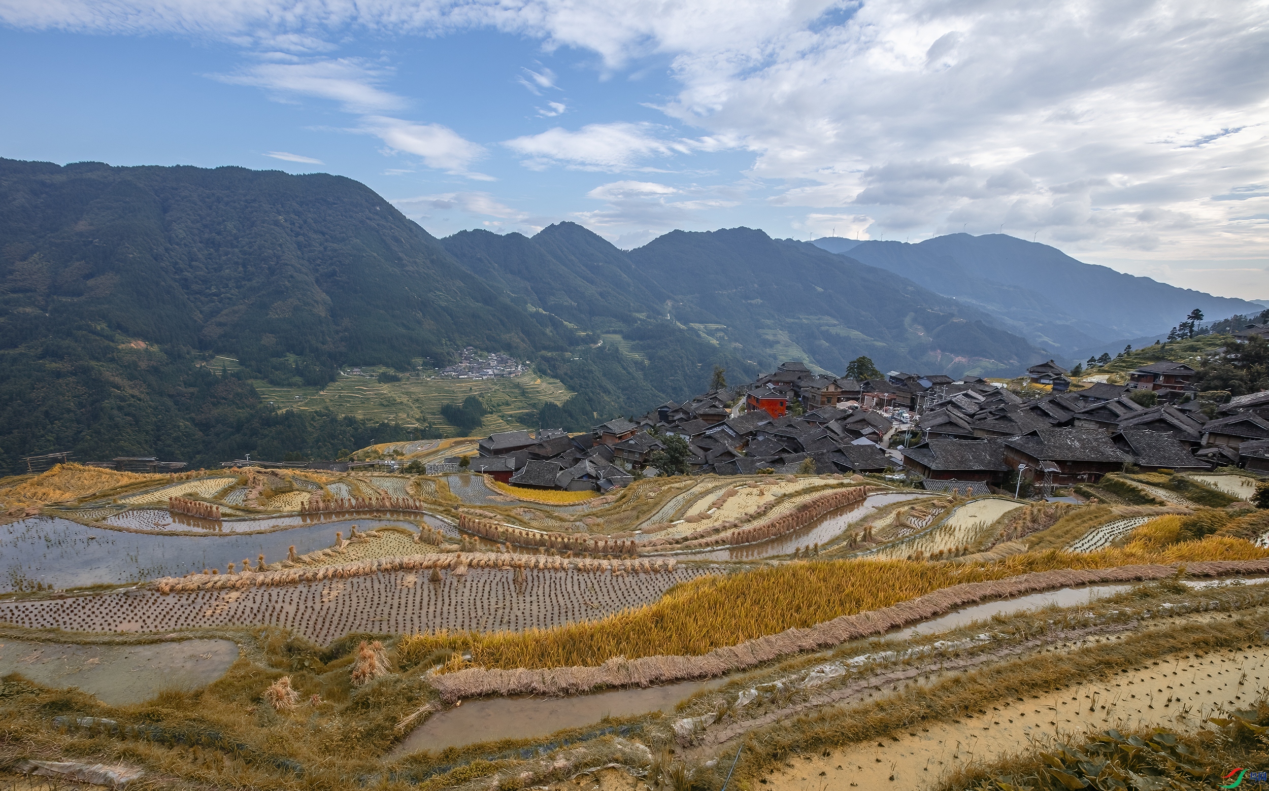 CB0A4015 ����.jpg