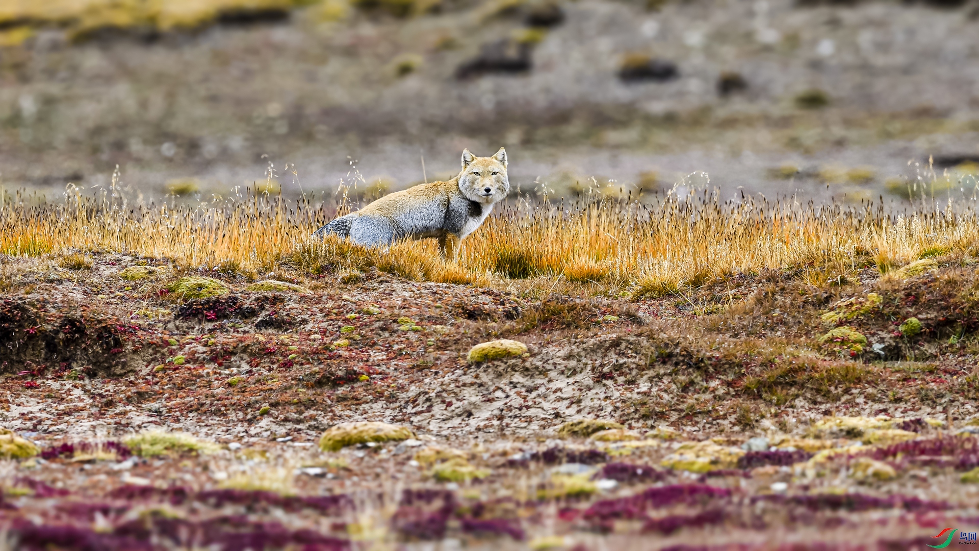 _DSC6925_����.jpg