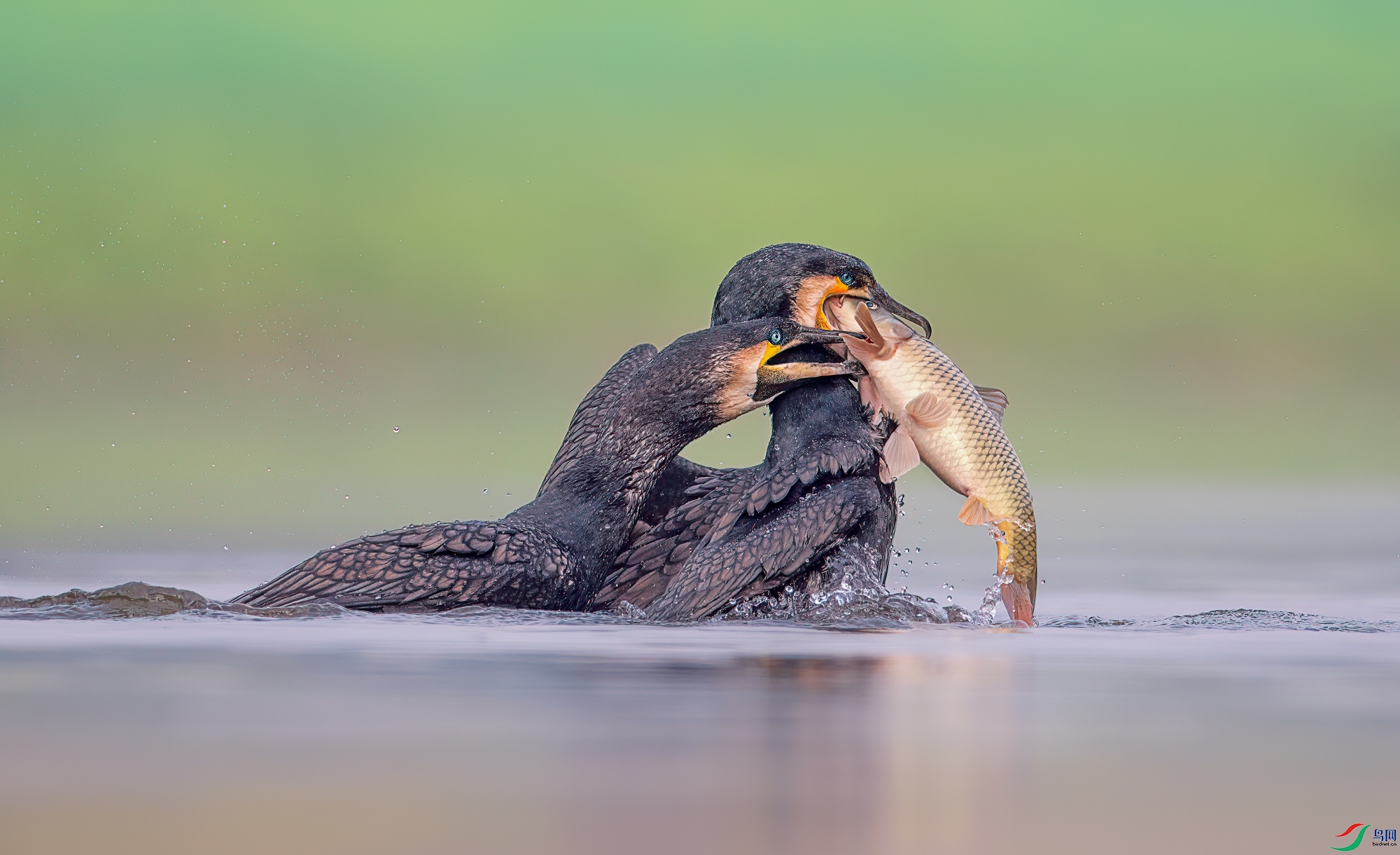 6R9A2317.jpg