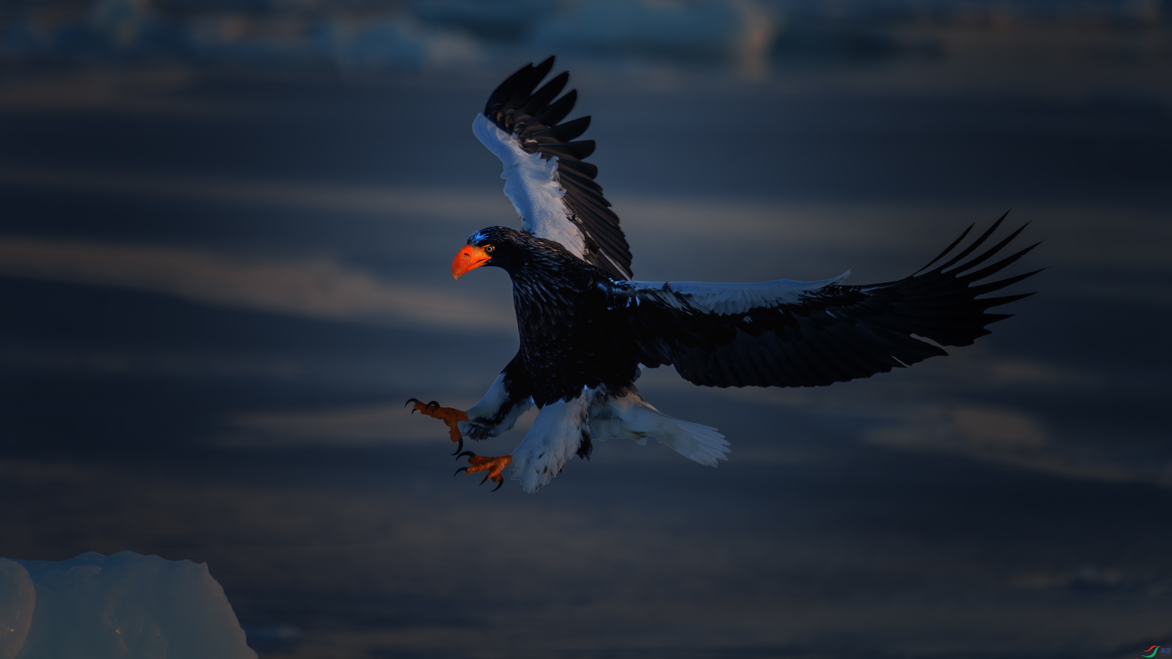 DSC_6550-����ǿ-NR-2 ����.jpg