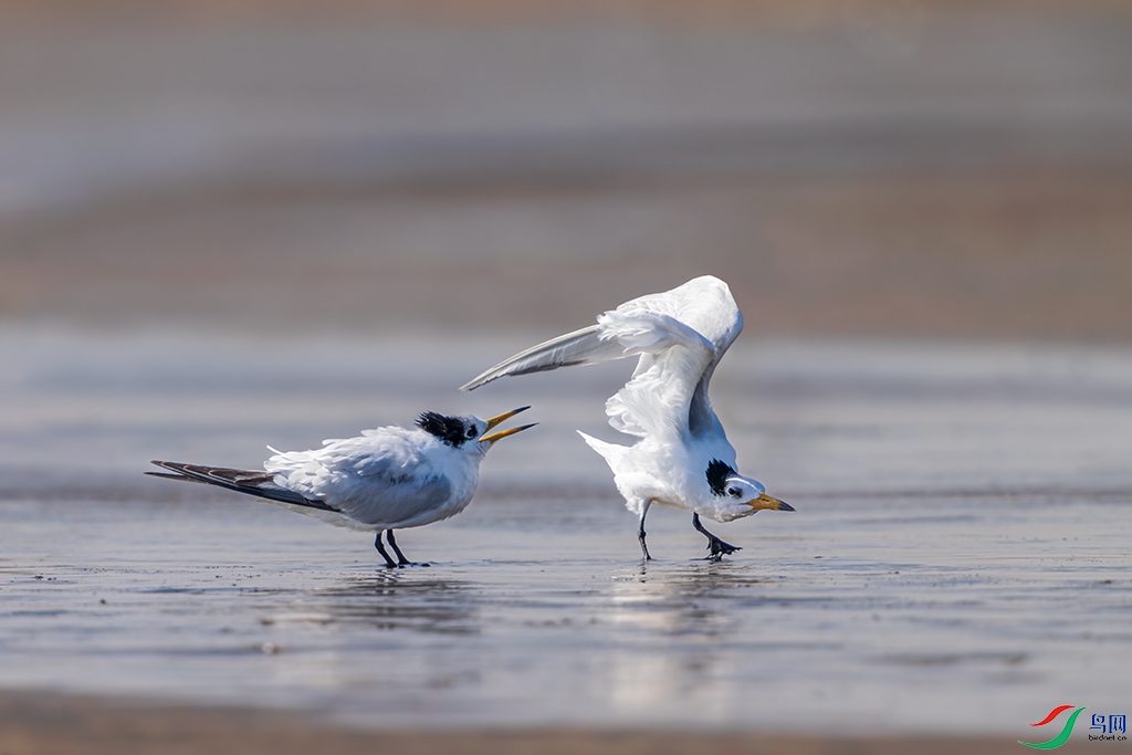 sdrzR5241019 (1072)_DxO.jpg