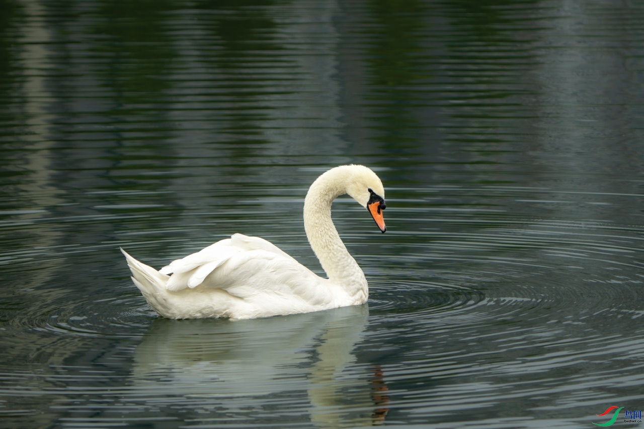 DSC04665-����ǿ ����.jpeg