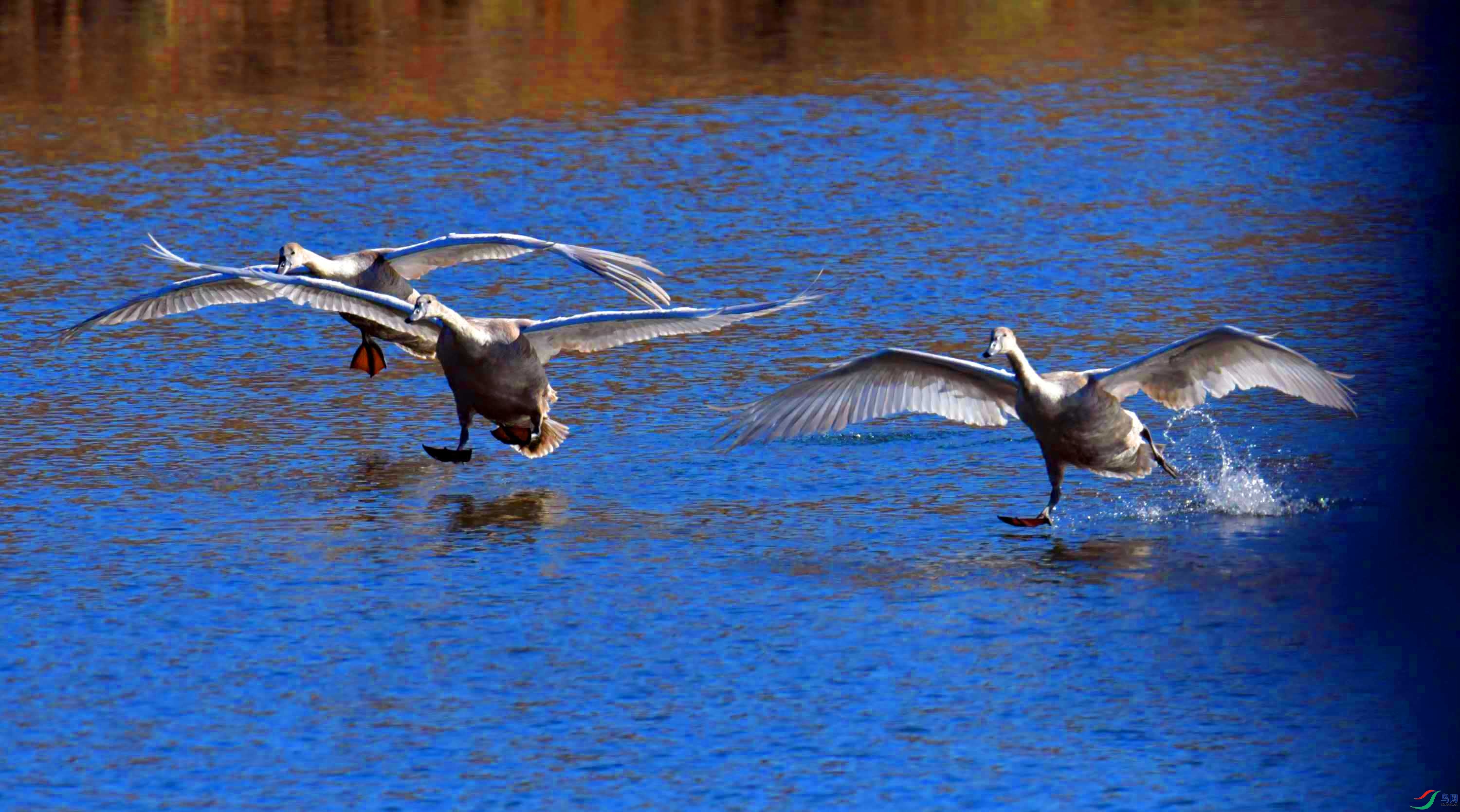 DSC_5409.JPG