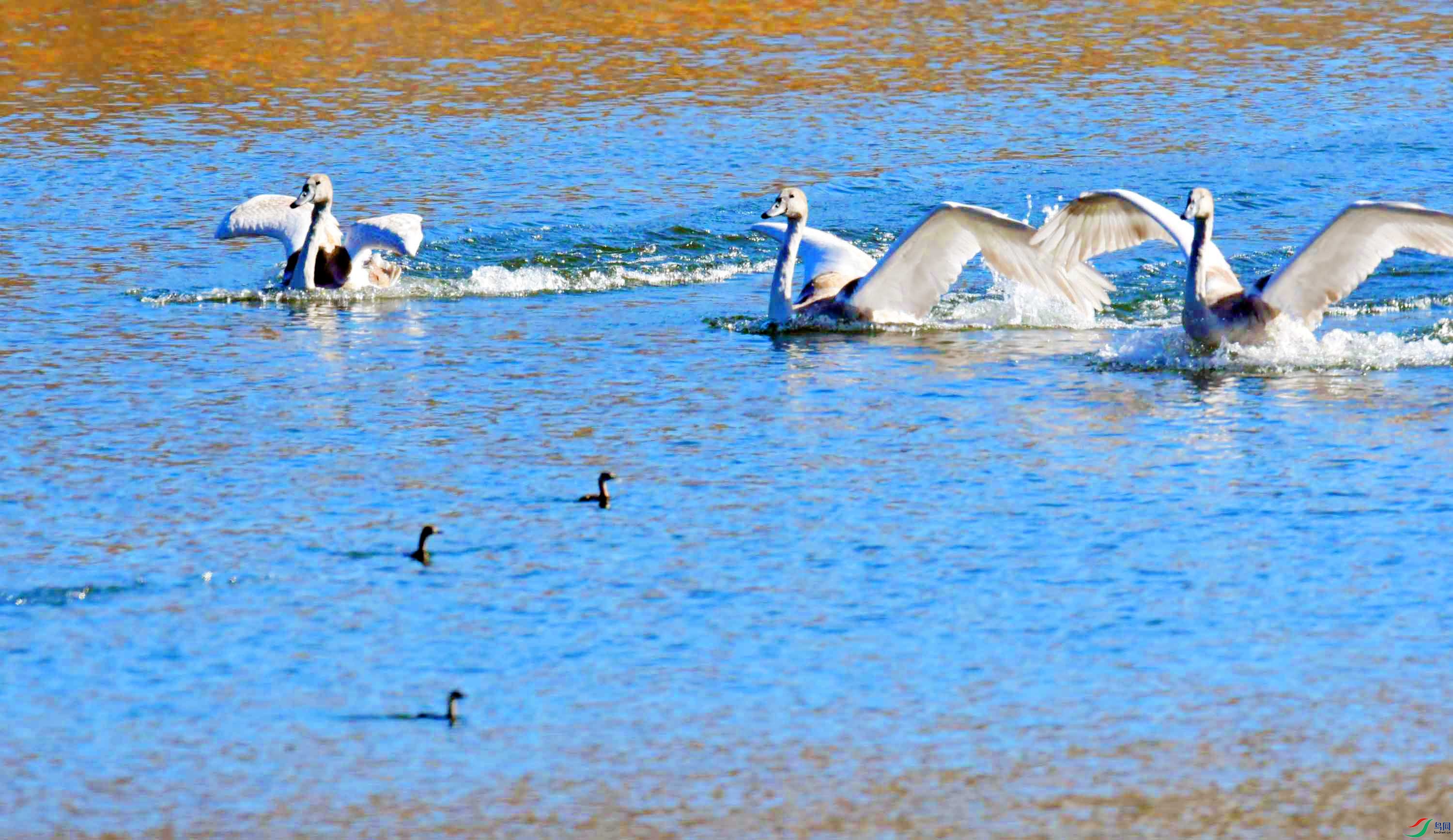 DSC_5420.JPG