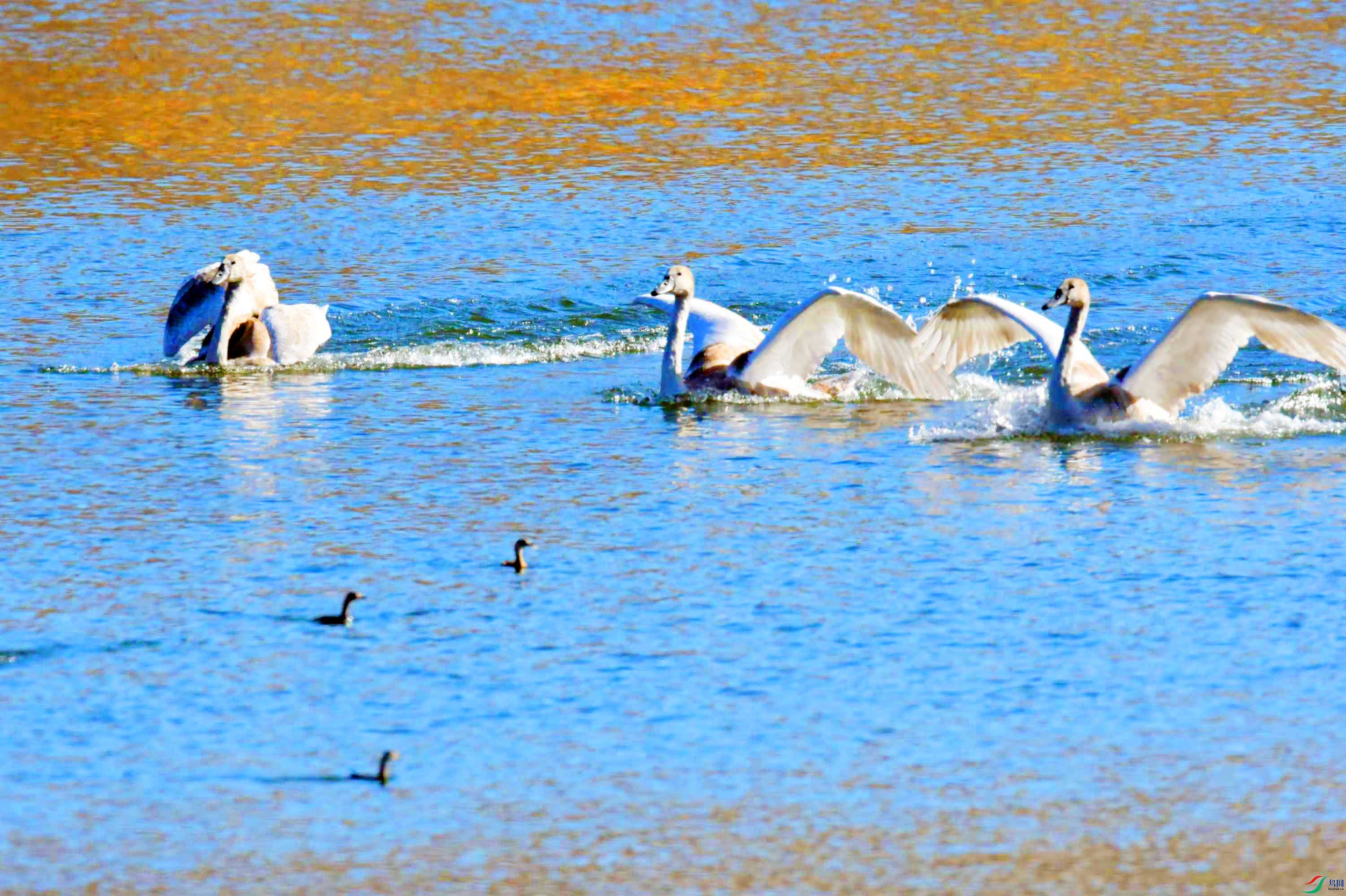 DSC_5421.JPG