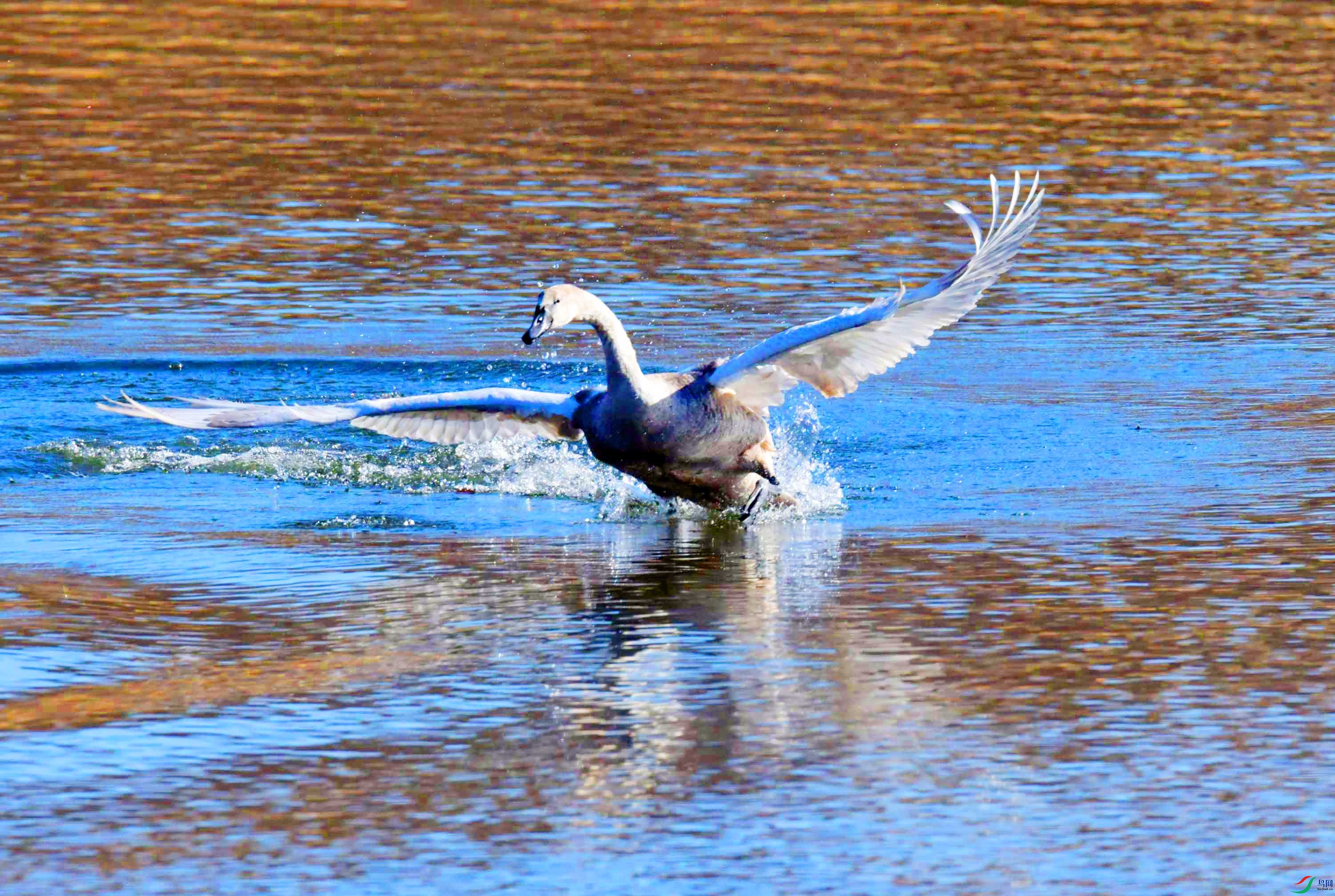 DSC_5463.JPG