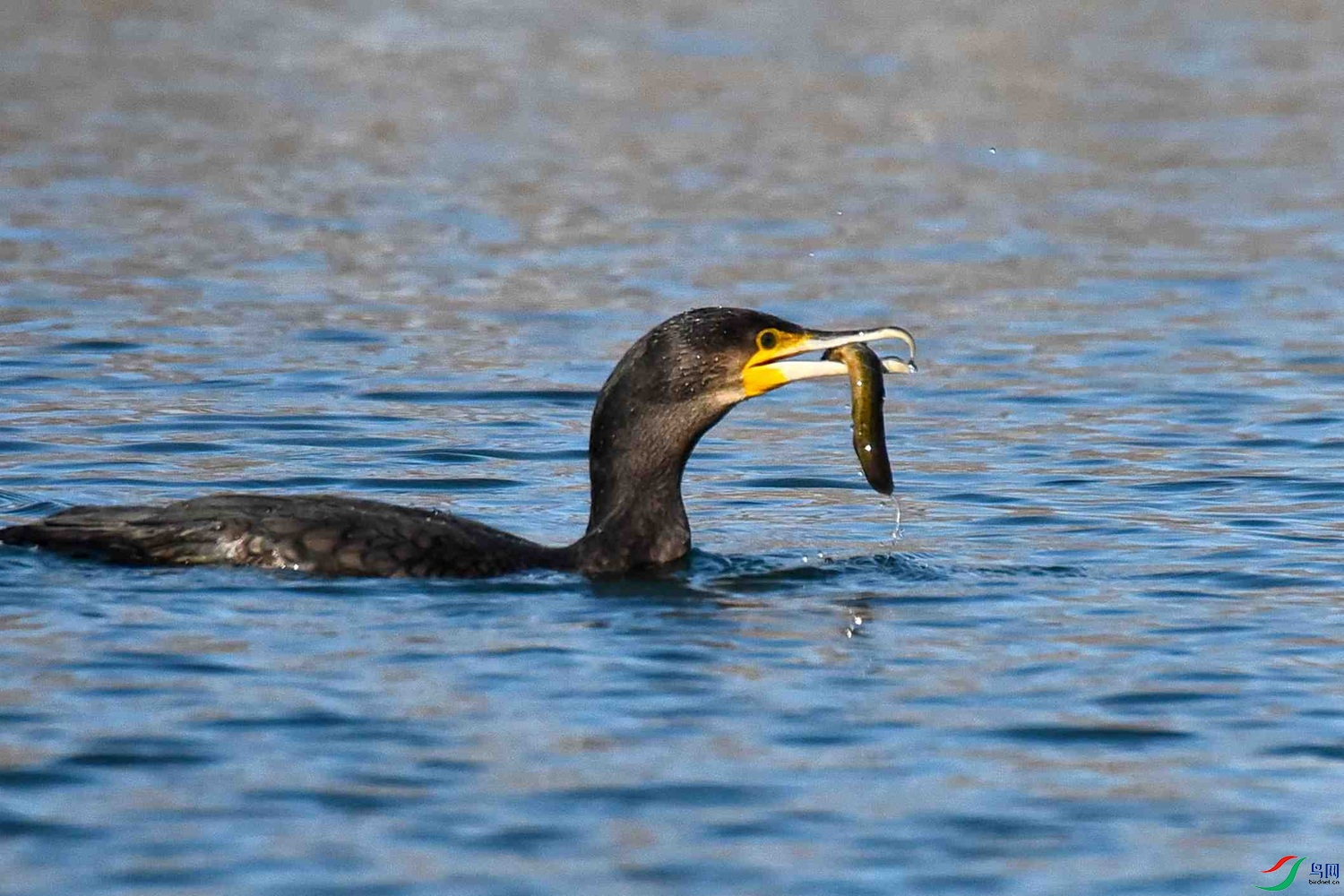 DSC_5578.JPG