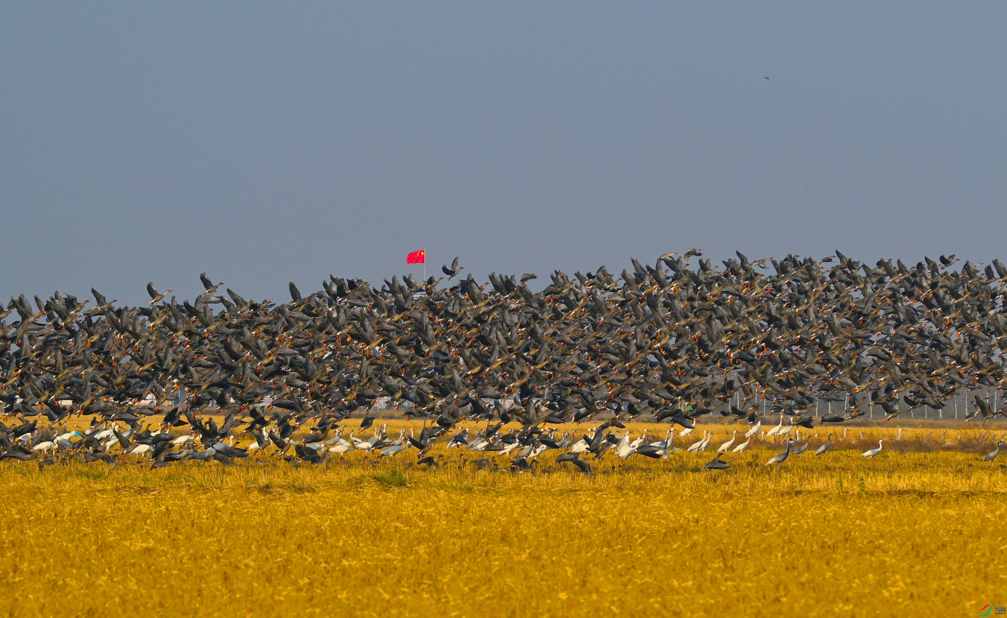 DSC_0947 ����.jpg