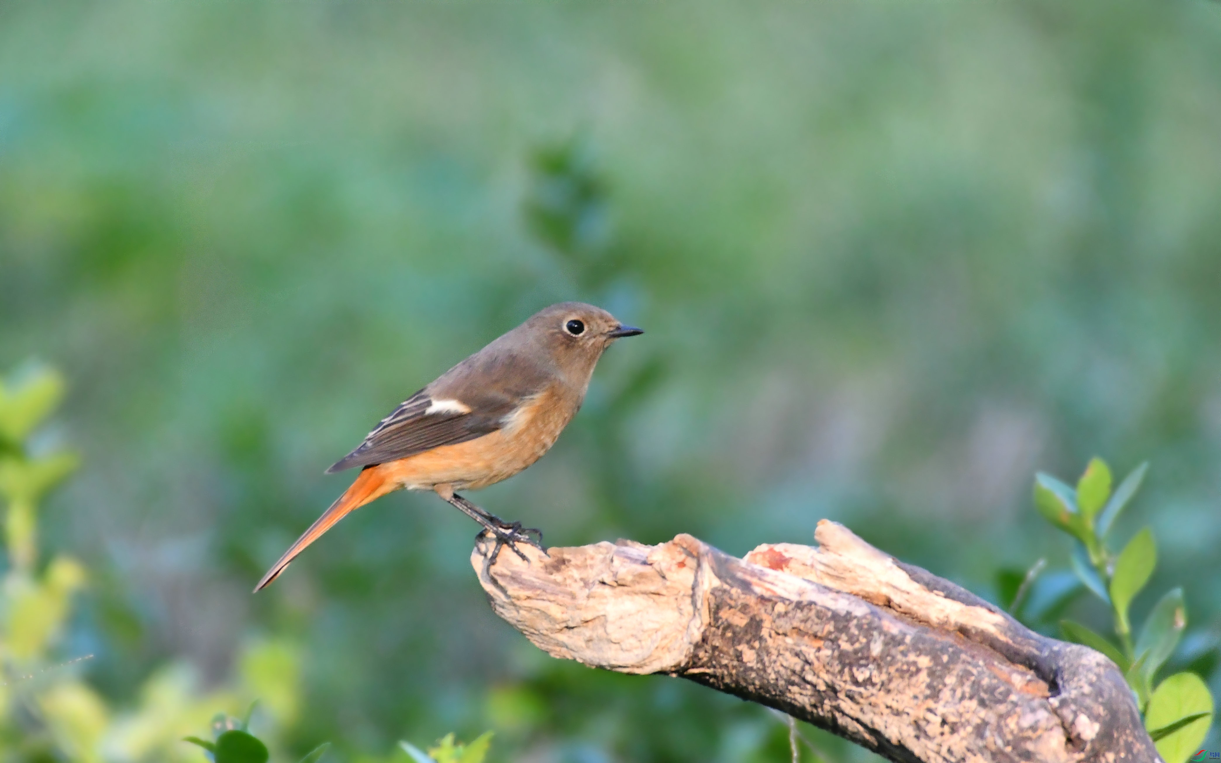 DSC_5852.JPG