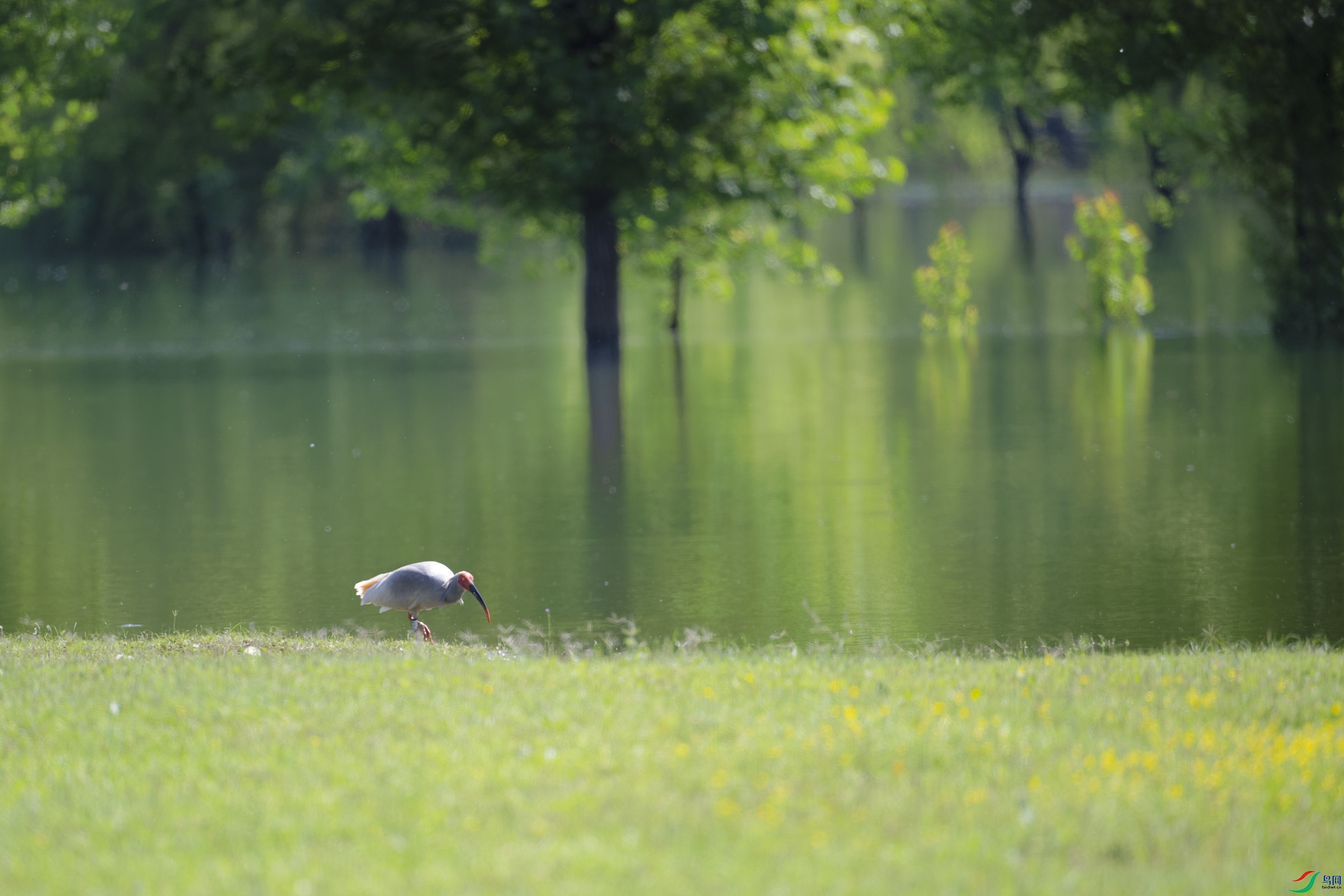 DSC_5383_DxO.jpg