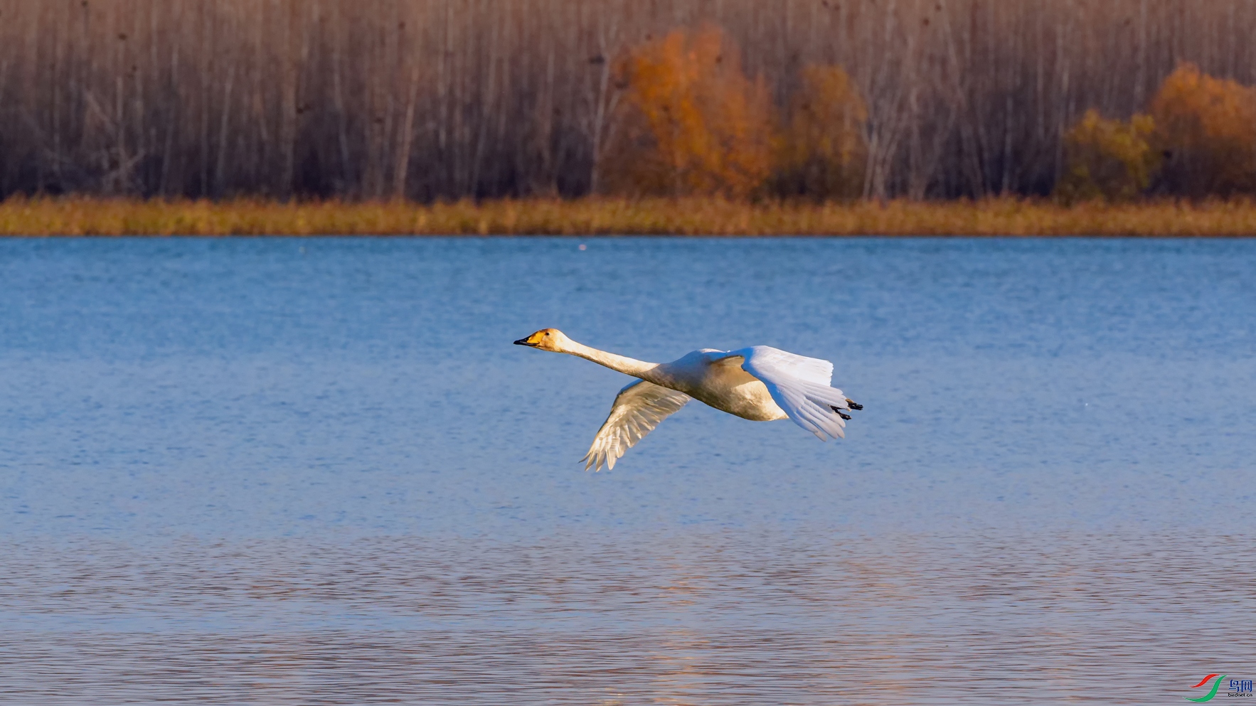 DSC_2499_DxOa.jpg