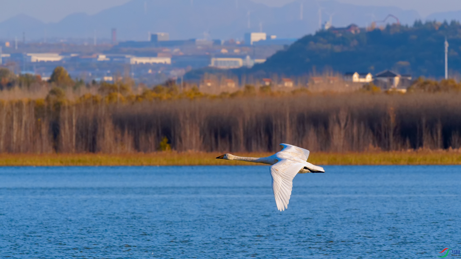 DSC_2534_DxOa.jpg