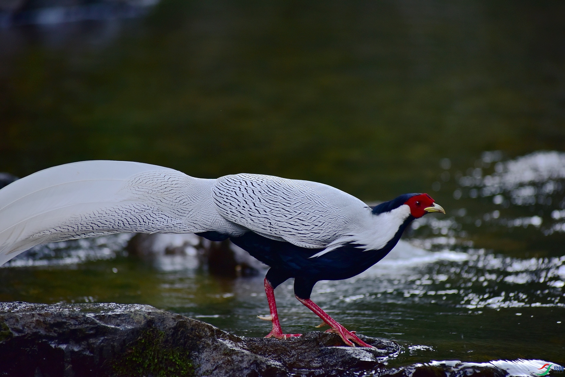 D8I_8544.jpg