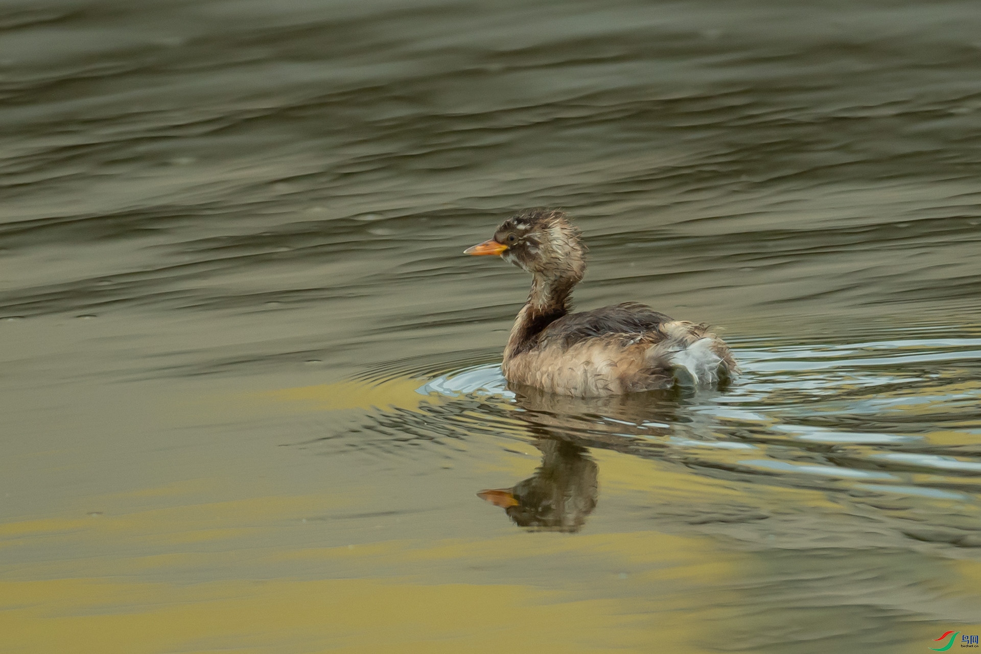 DSC_6922.jpg