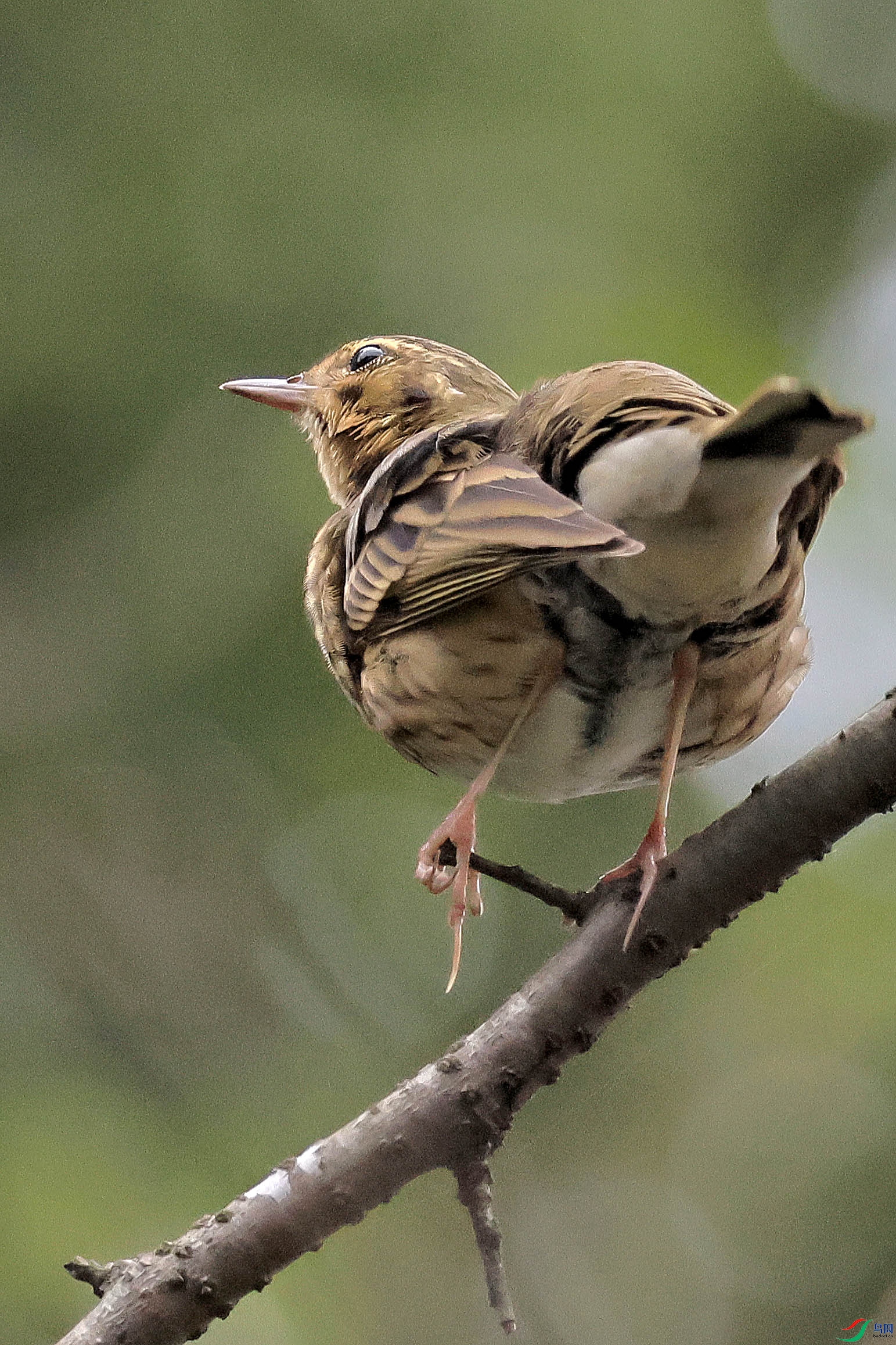 2G9A5526.JPG