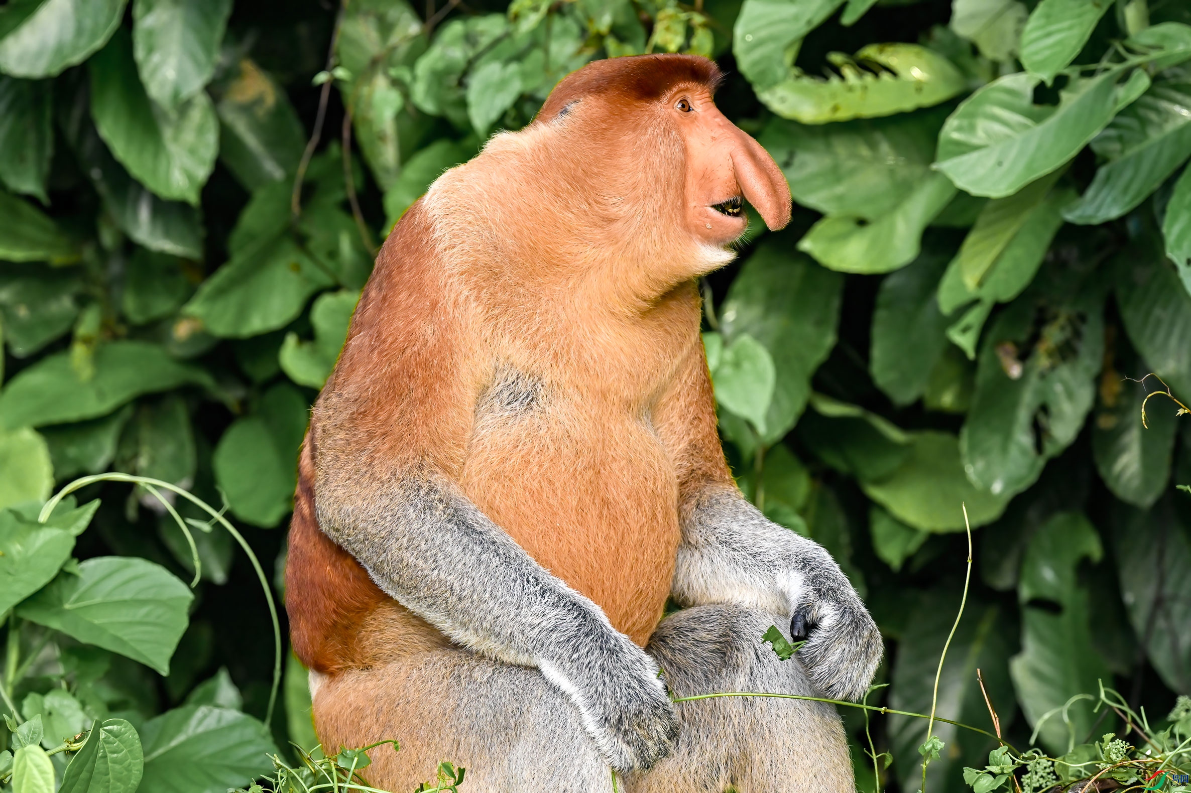 DSC_6838.jpg