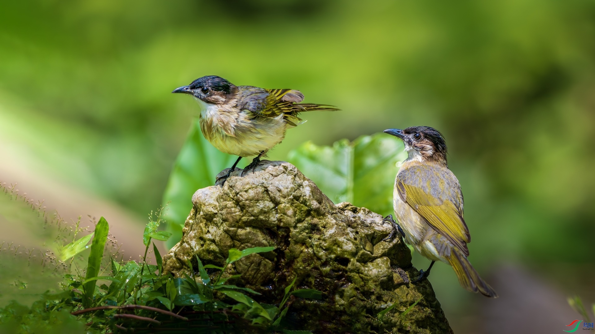 1_XXL3173-����ǿ-NR ����.jpeg